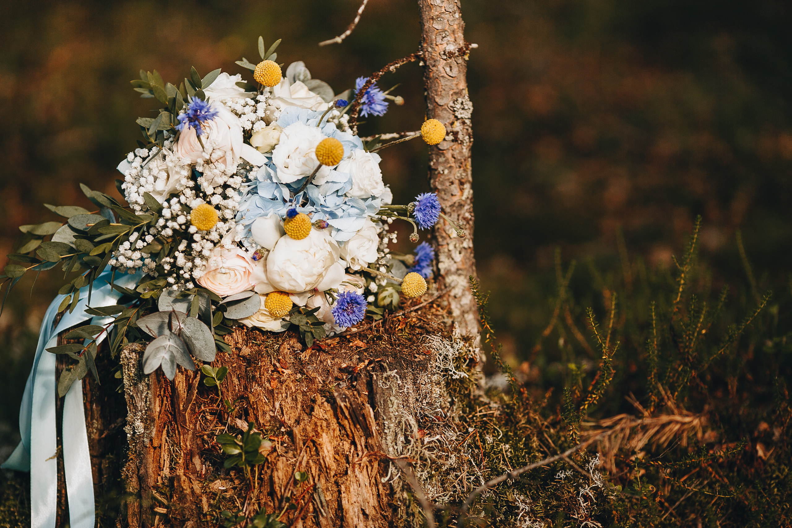 Мария И Владимир. Семейный, детский ,свадебный фотограф в Ноябрьске Алексей Мельнов