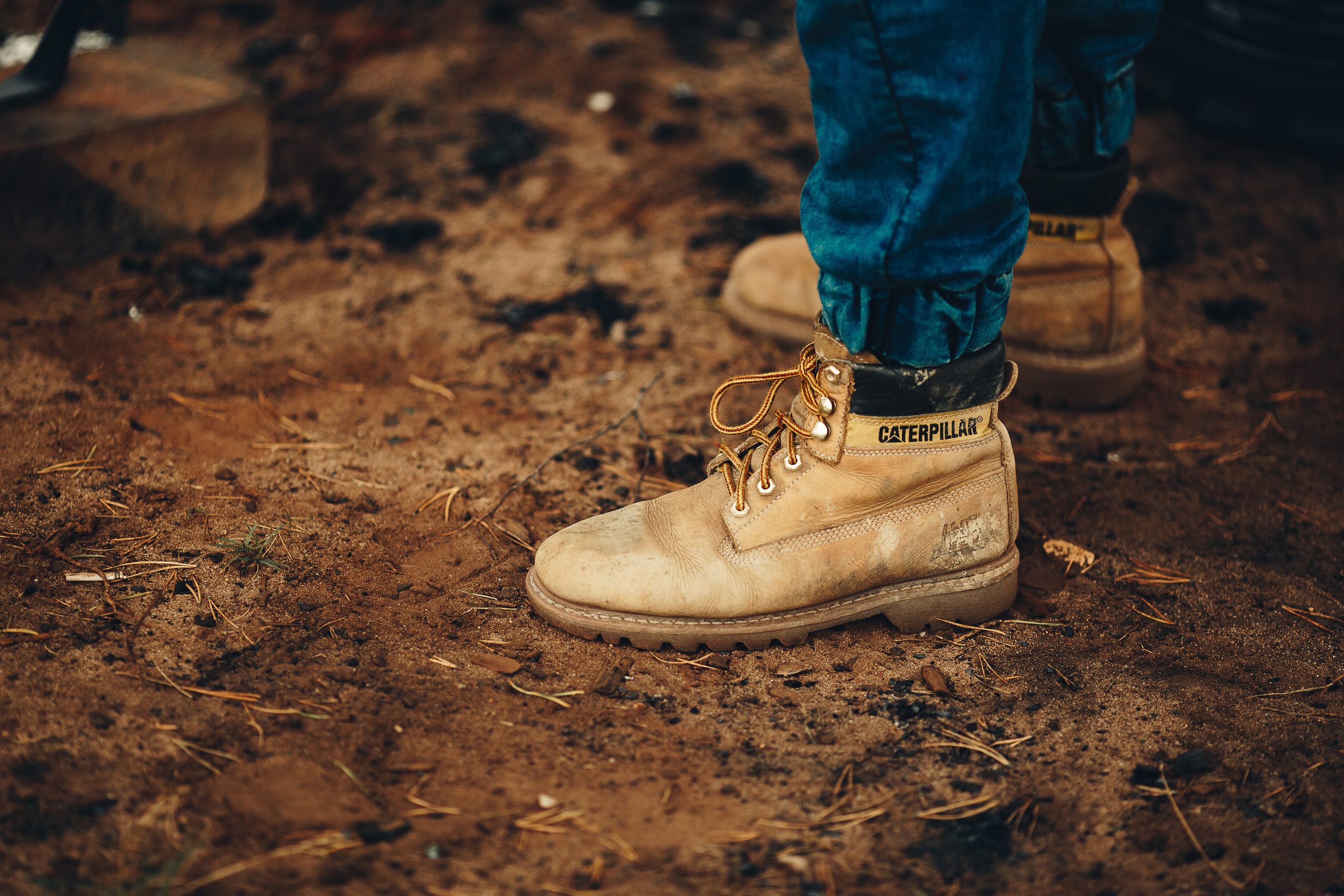 SIGANO. Семейный, детский ,свадебный фотограф в Ноябрьске Алексей Мельнов