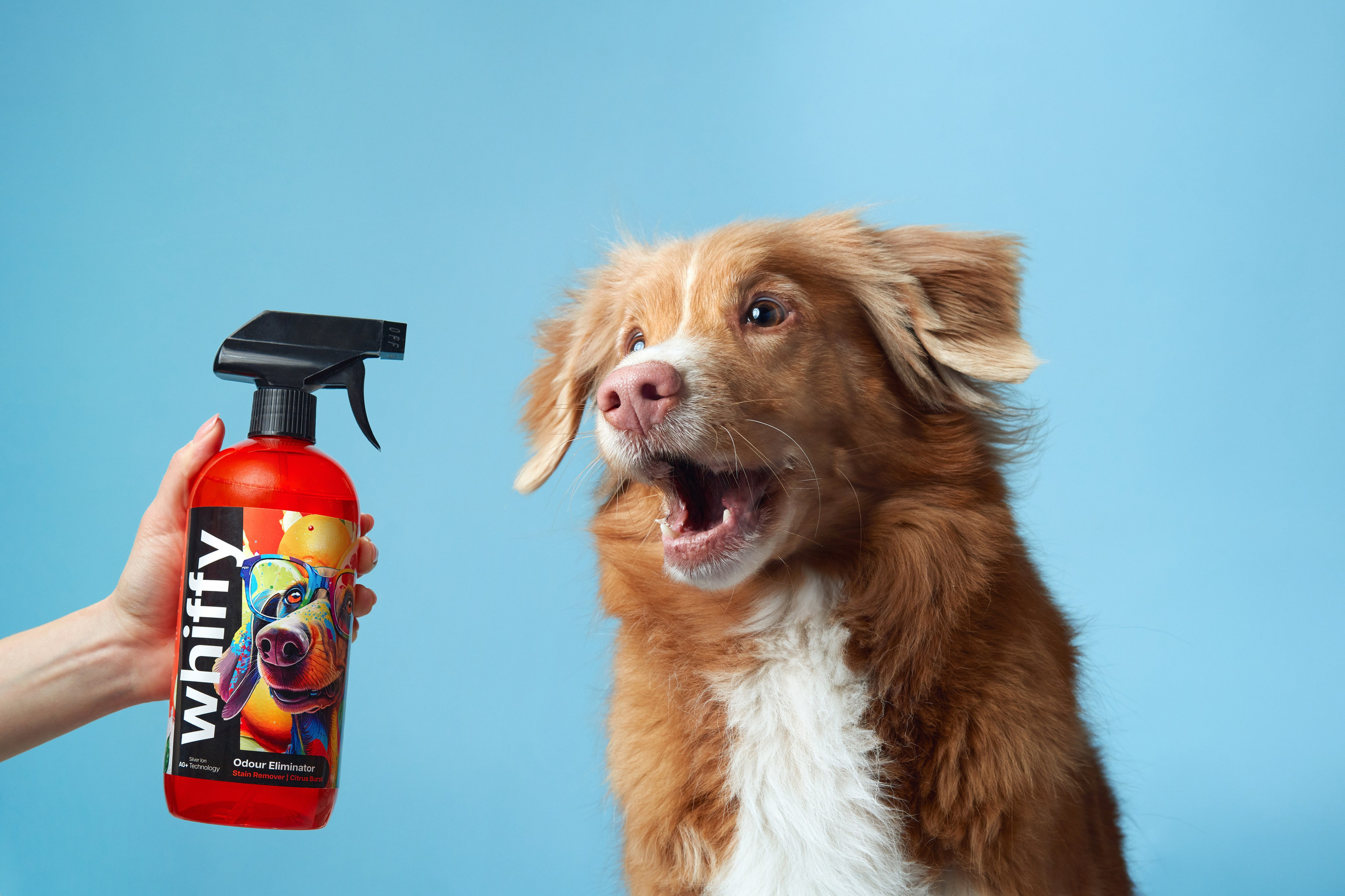 Advertising shooting with animals. Pets in advertising. Dog photographer Averianova Anna — Art photography of dogs