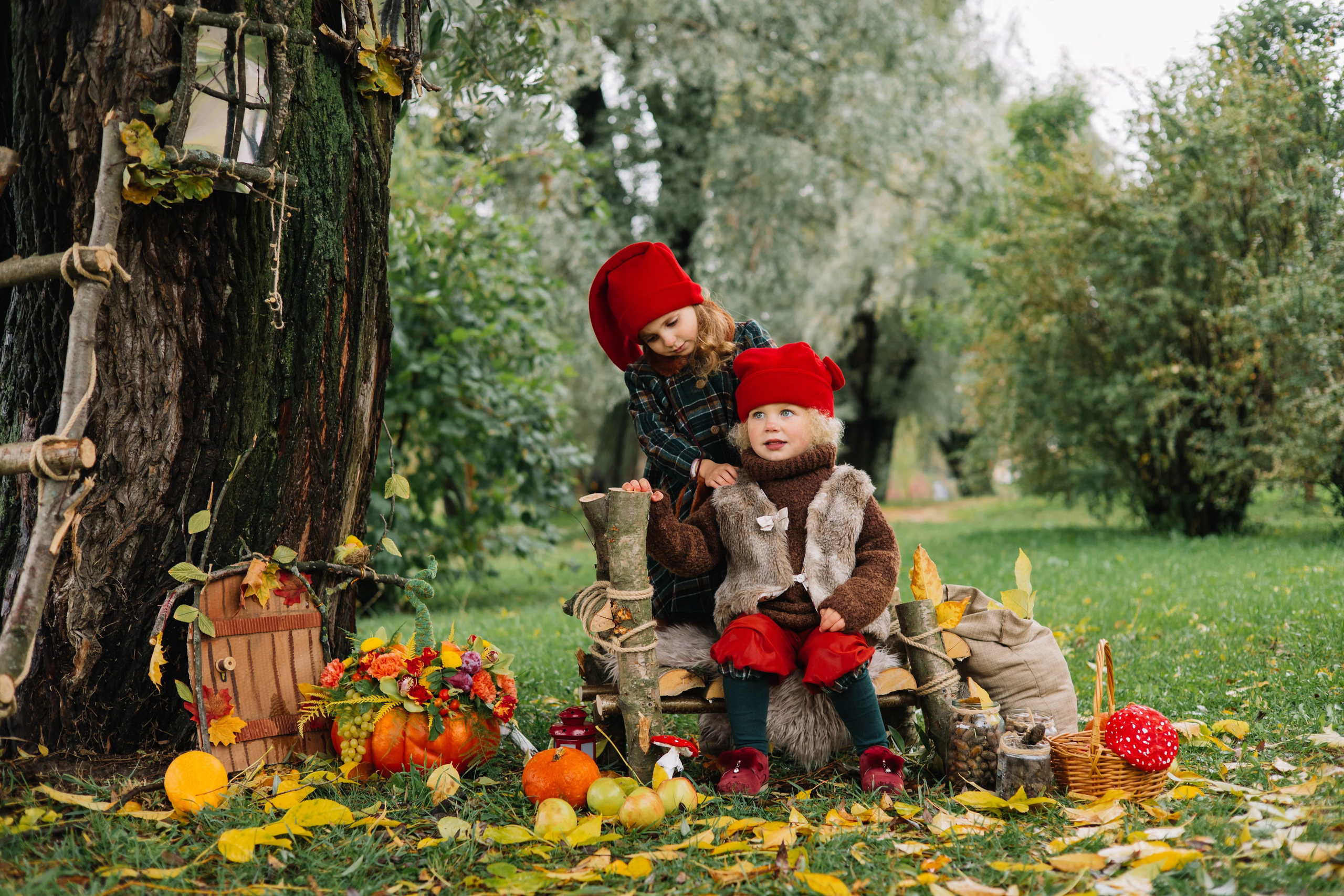 Гномики. Фотография с любовью от Людмилы Луценко