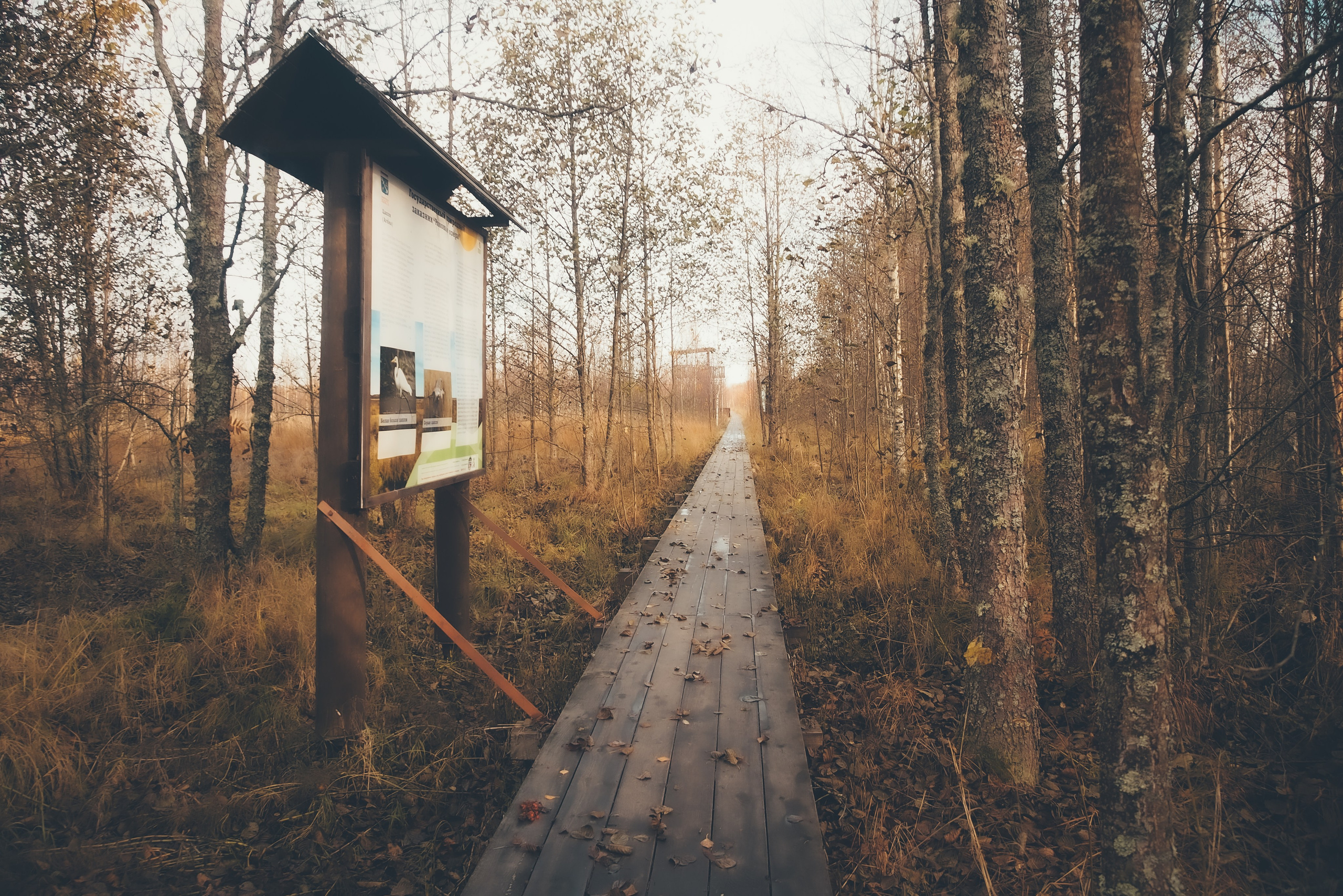 Раковые озера. Свадебный фотограф Копков Геннадий