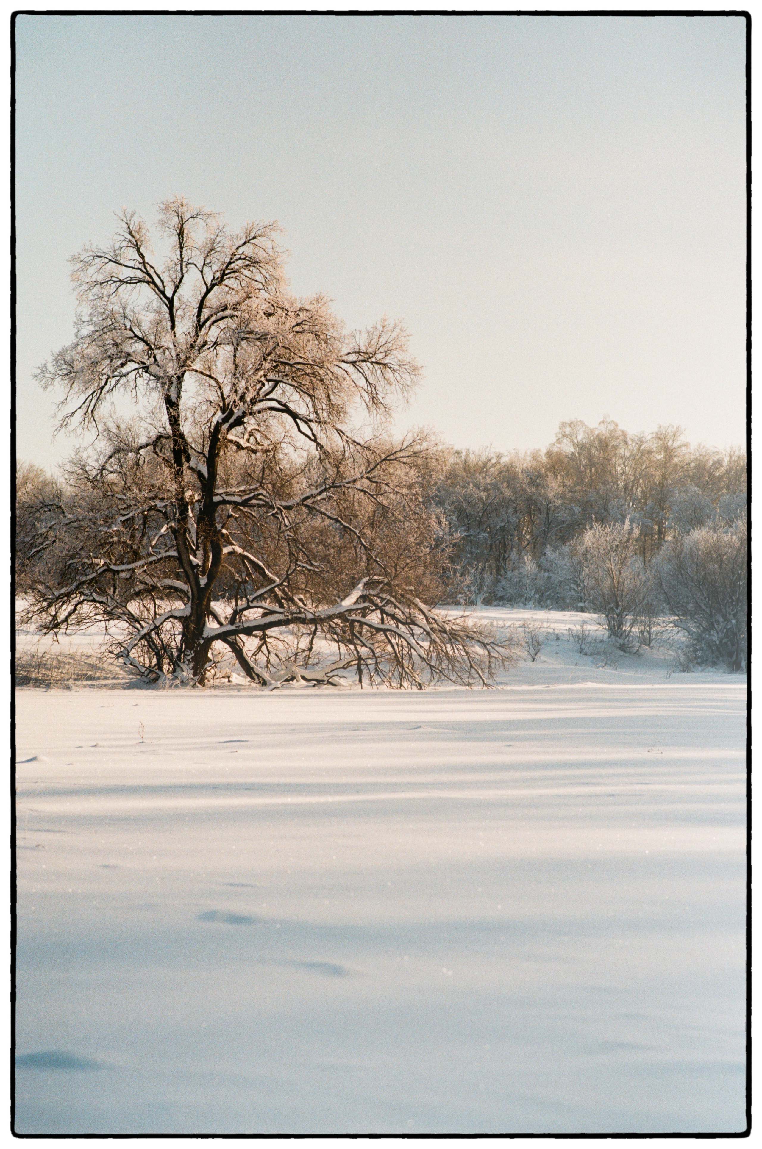 Зимнее. Фотограф Филякин Константин