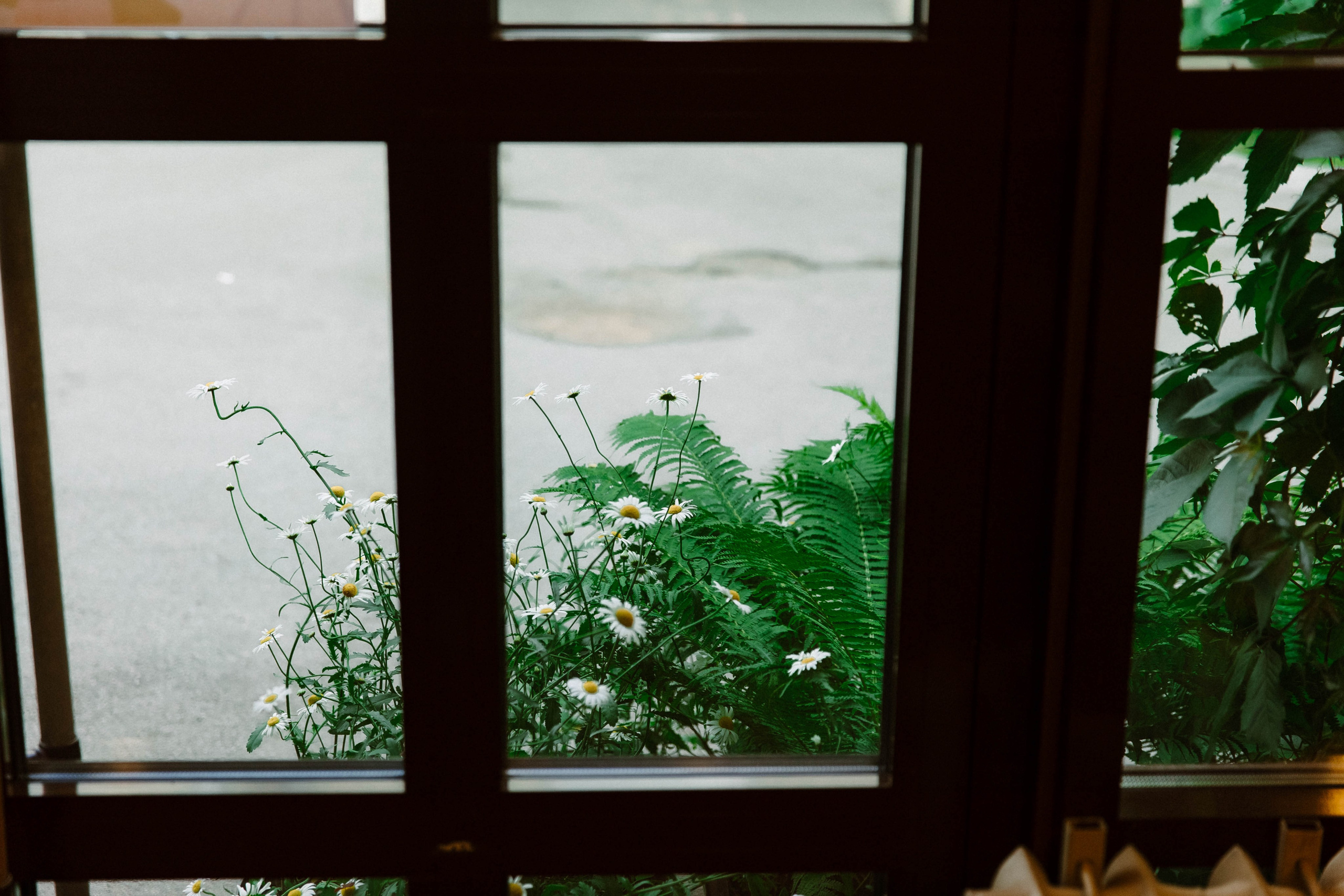 Лето на Советской