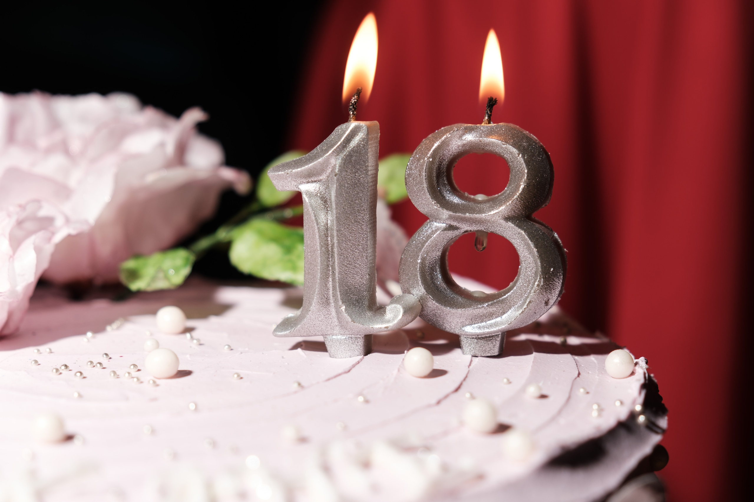 Birthday 18. Свадебный и корпоративный фотограф в Москве Андрей Рудой