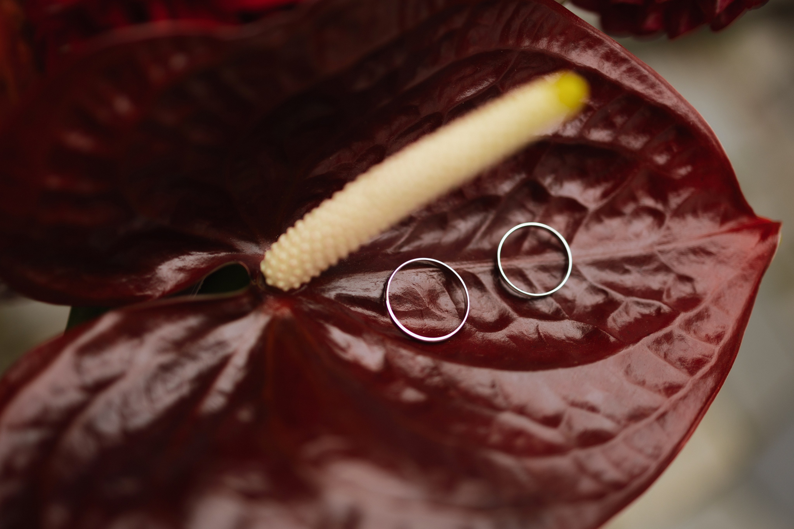 I&M. Свадебный фотограф Лиза Макатович Беларусь Минск