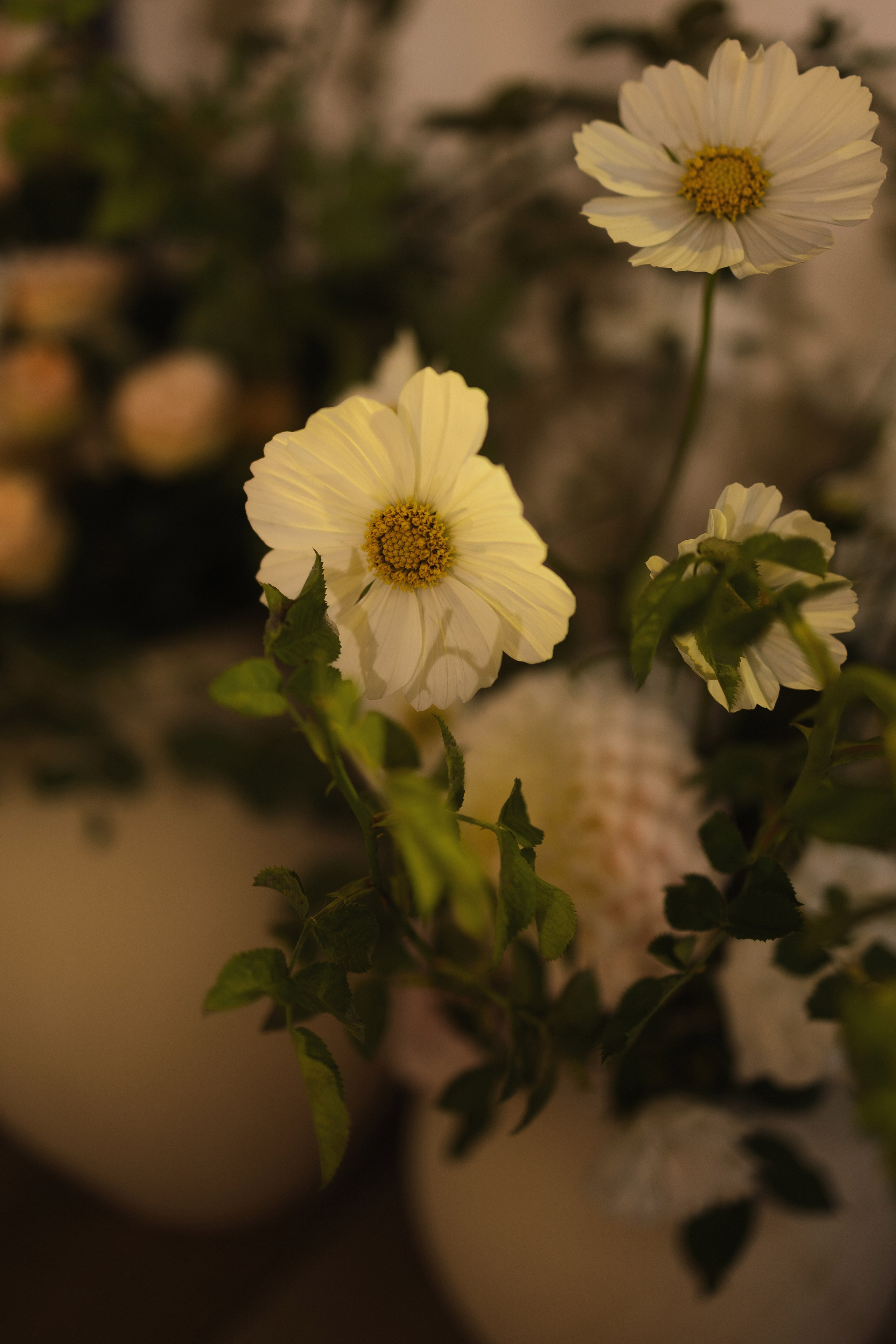 S&E. Свадебный фотограф Лиза Макатович Беларусь Минск