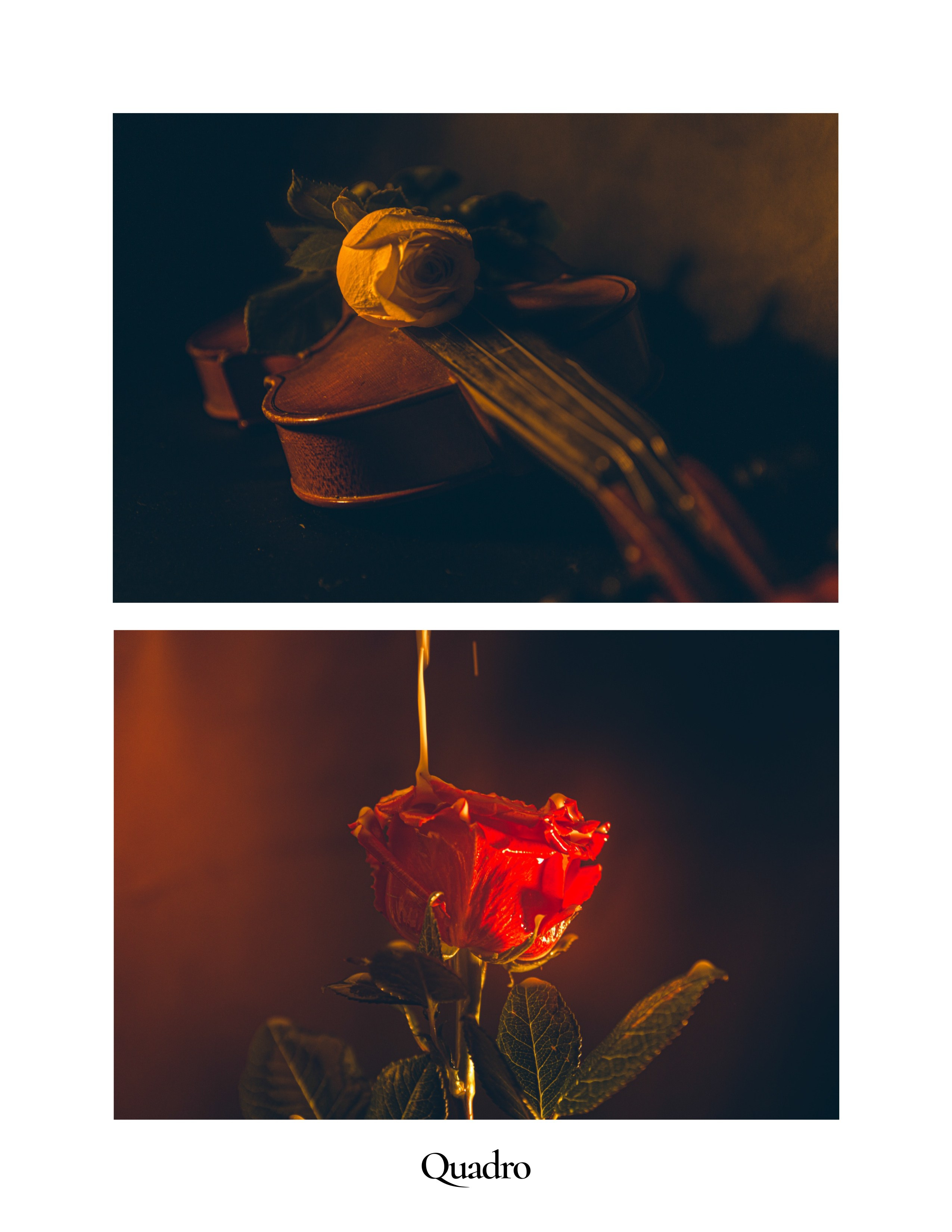 Ваш фотограф Северск | Томск