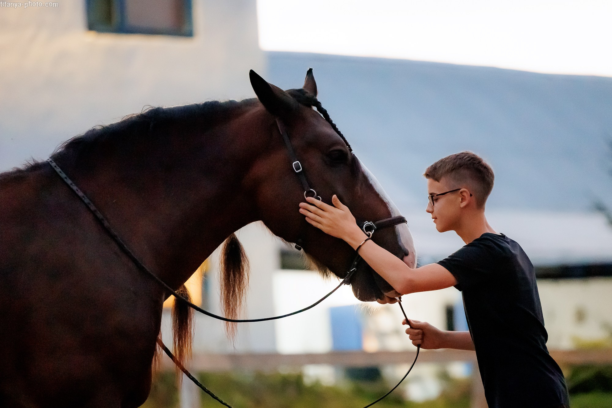 Закатная семейная фотосессия: про Настю и её дружную семью. Фотограф собак, фотограф-анималист Аня Титова (Titanya). Москва