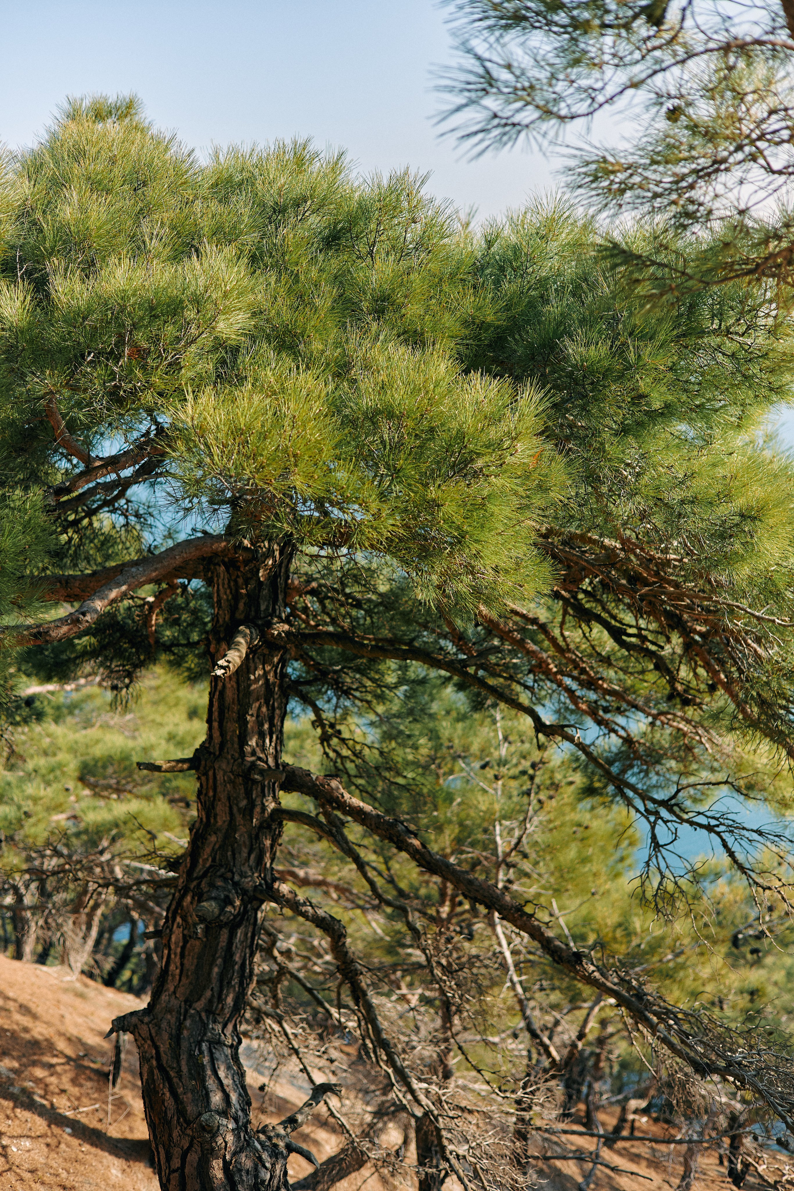 Юг России. Профессиональный Фотограф во Владимире, в Москве и в Суздале — Полина Романычева