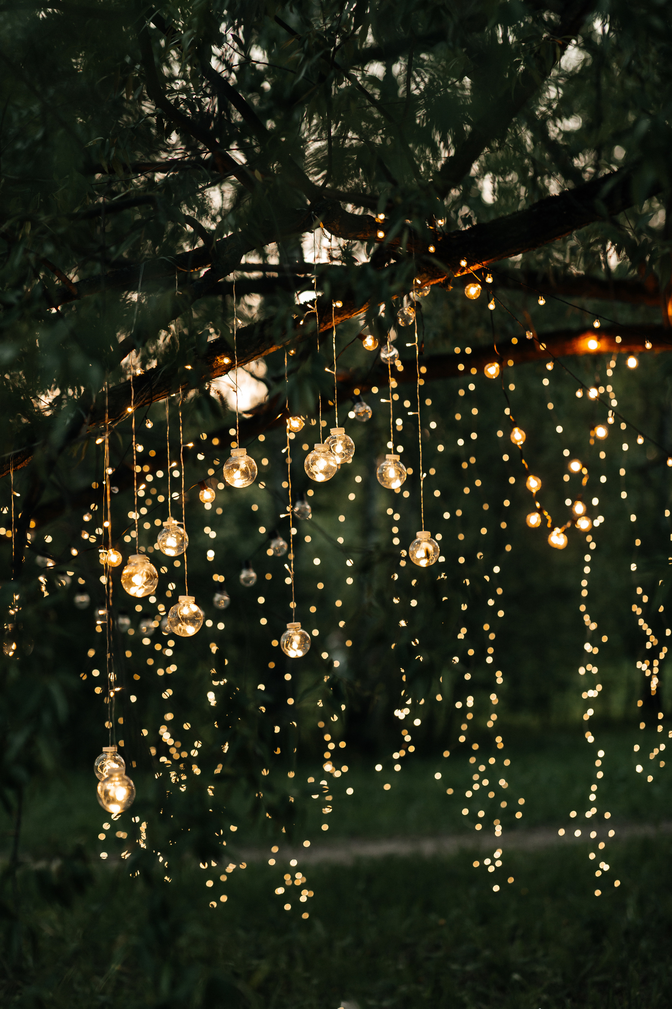 Валерия и Иракли — выездная регистрация. Фотограф в Твери Helga J. Fox