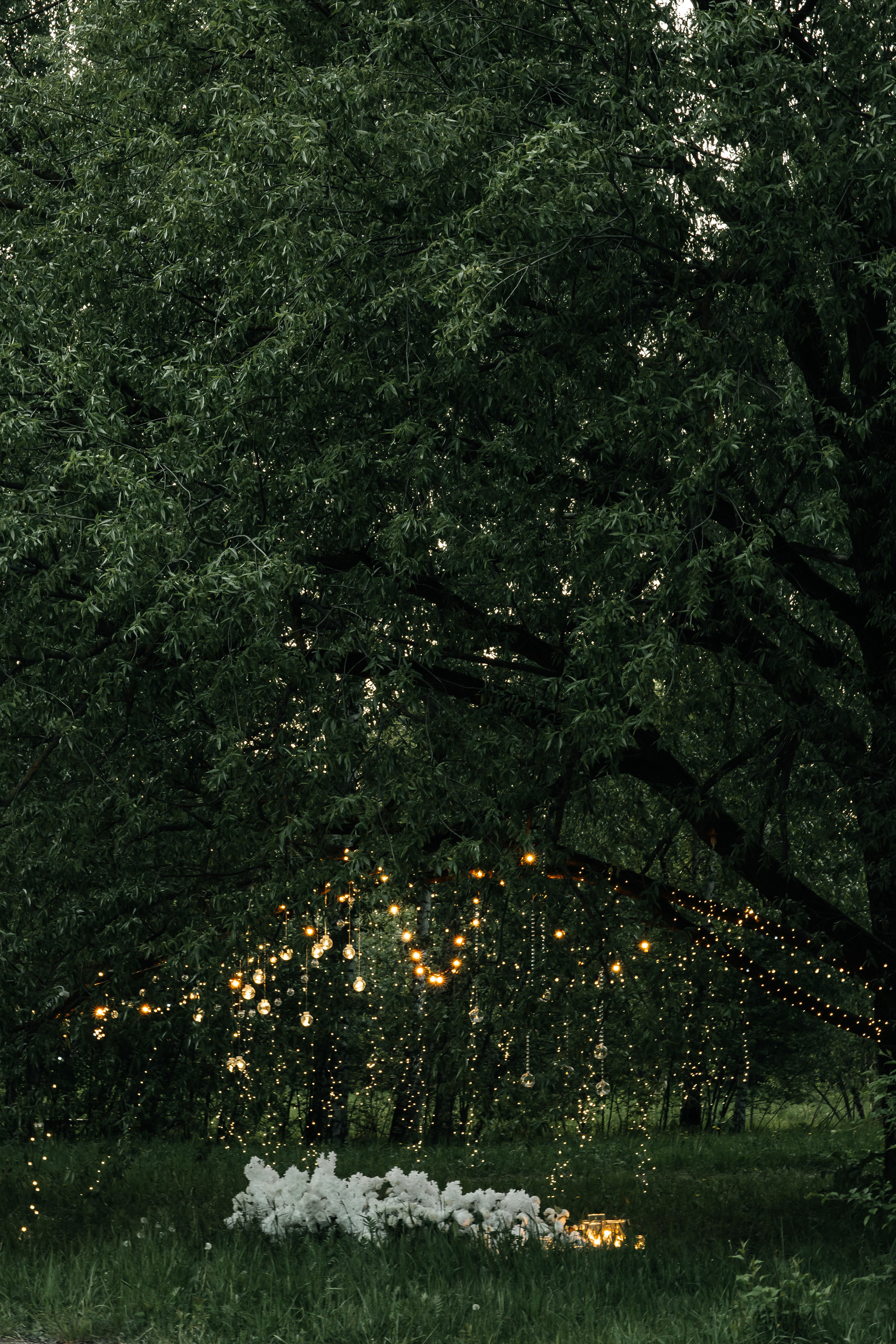 Валерия и Иракли — выездная регистрация. Фотограф в Твери Helga J. Fox