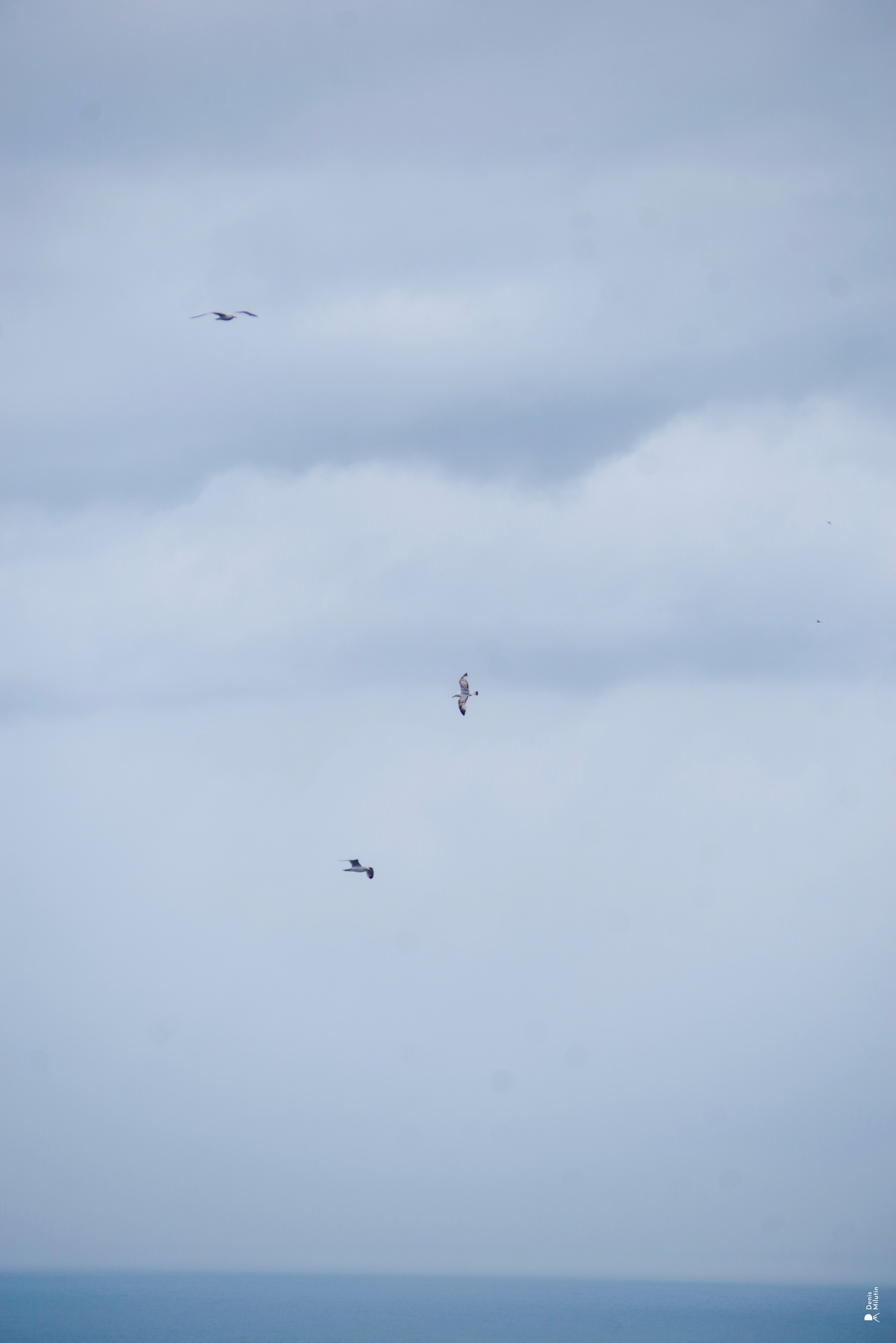 В отпуске с Артёмом. Портретный фотограф Денис Милютин