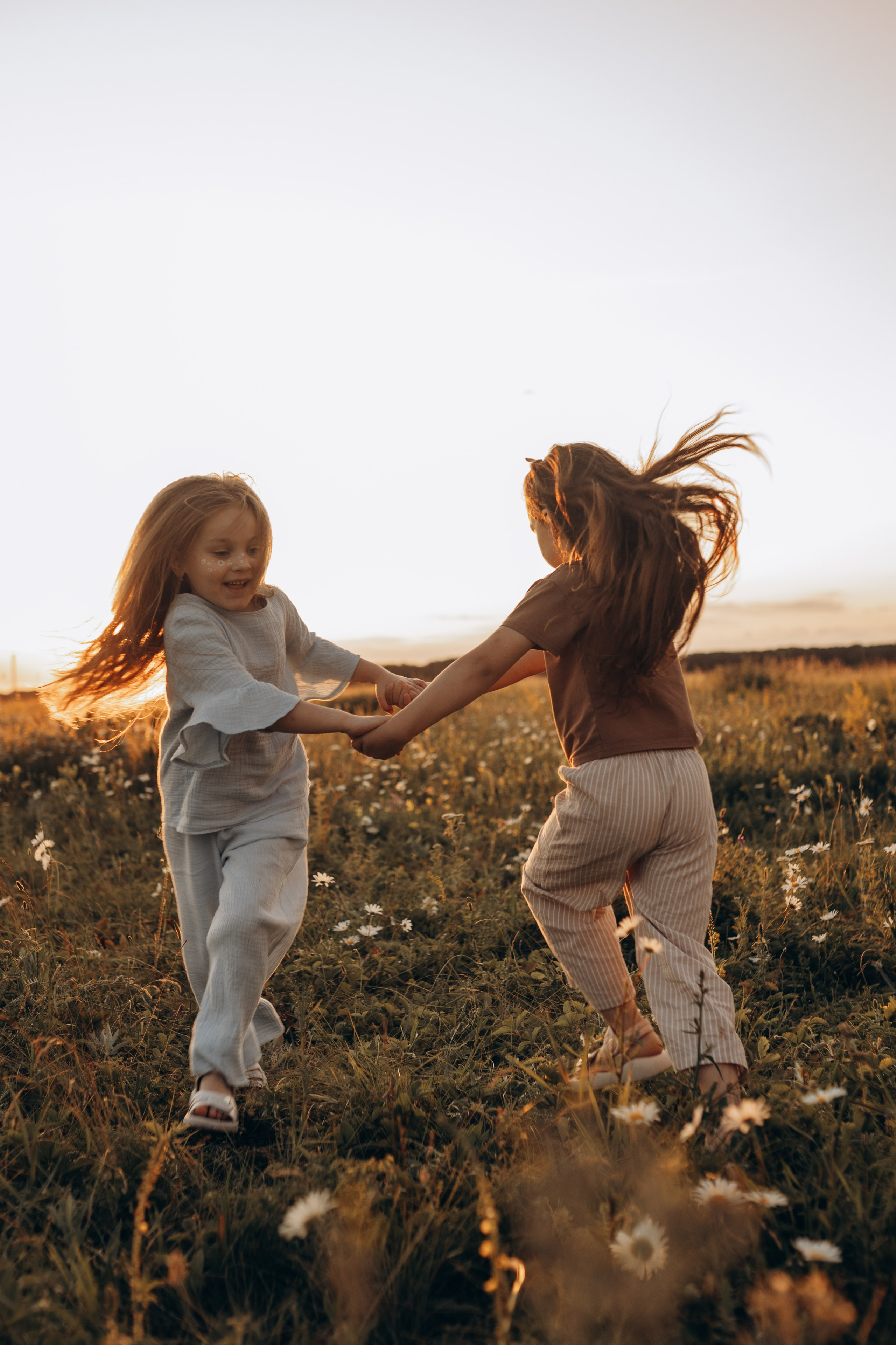 Закат на ромашковом поле. Фотограф в Ставрополе Svetlana Matveeva