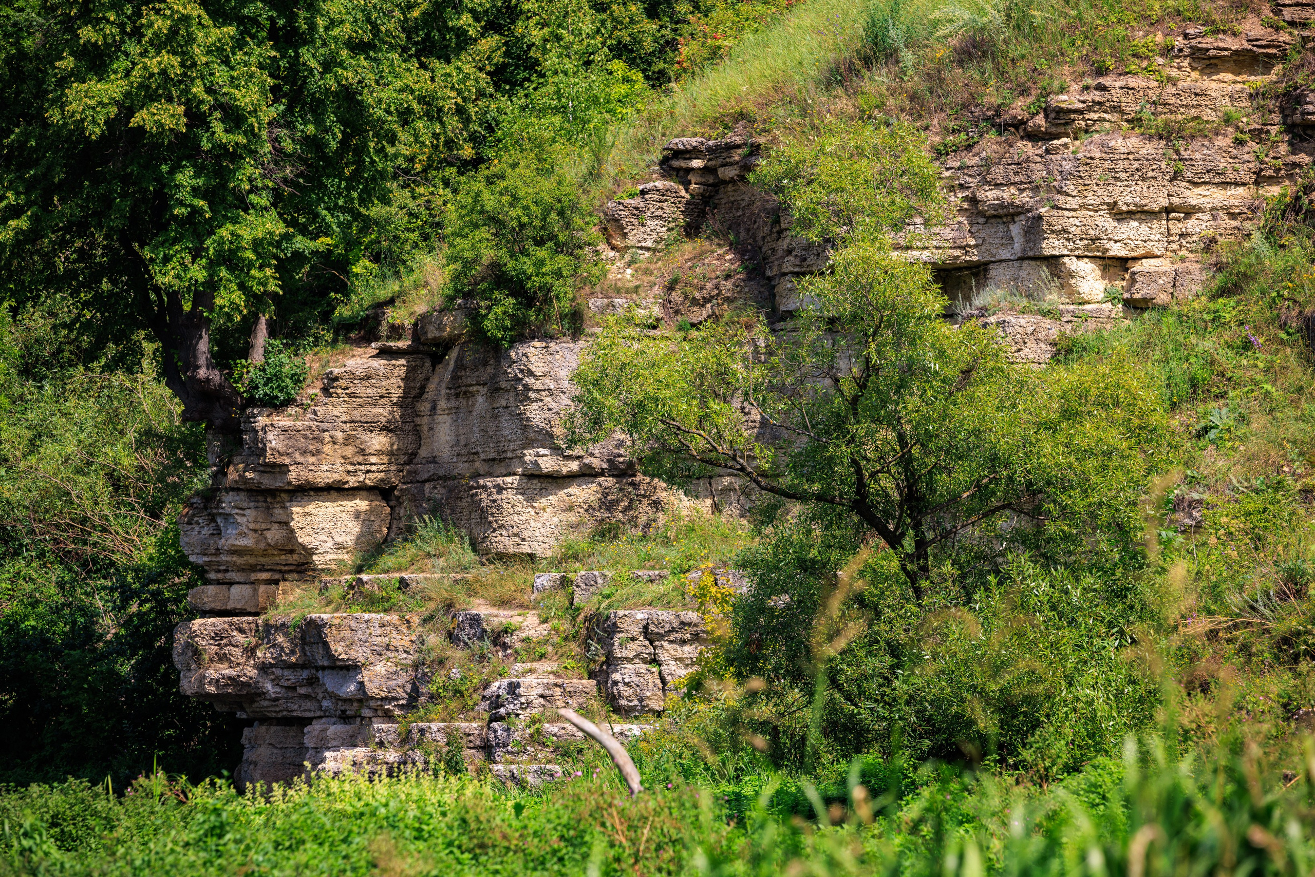 «Горная страна в миниатюре» — экологическая тропа в Аргамач-Пальна. Профессиональный фотограф в Воронеже | Липецке | Тамбове — Алексей Зайцев