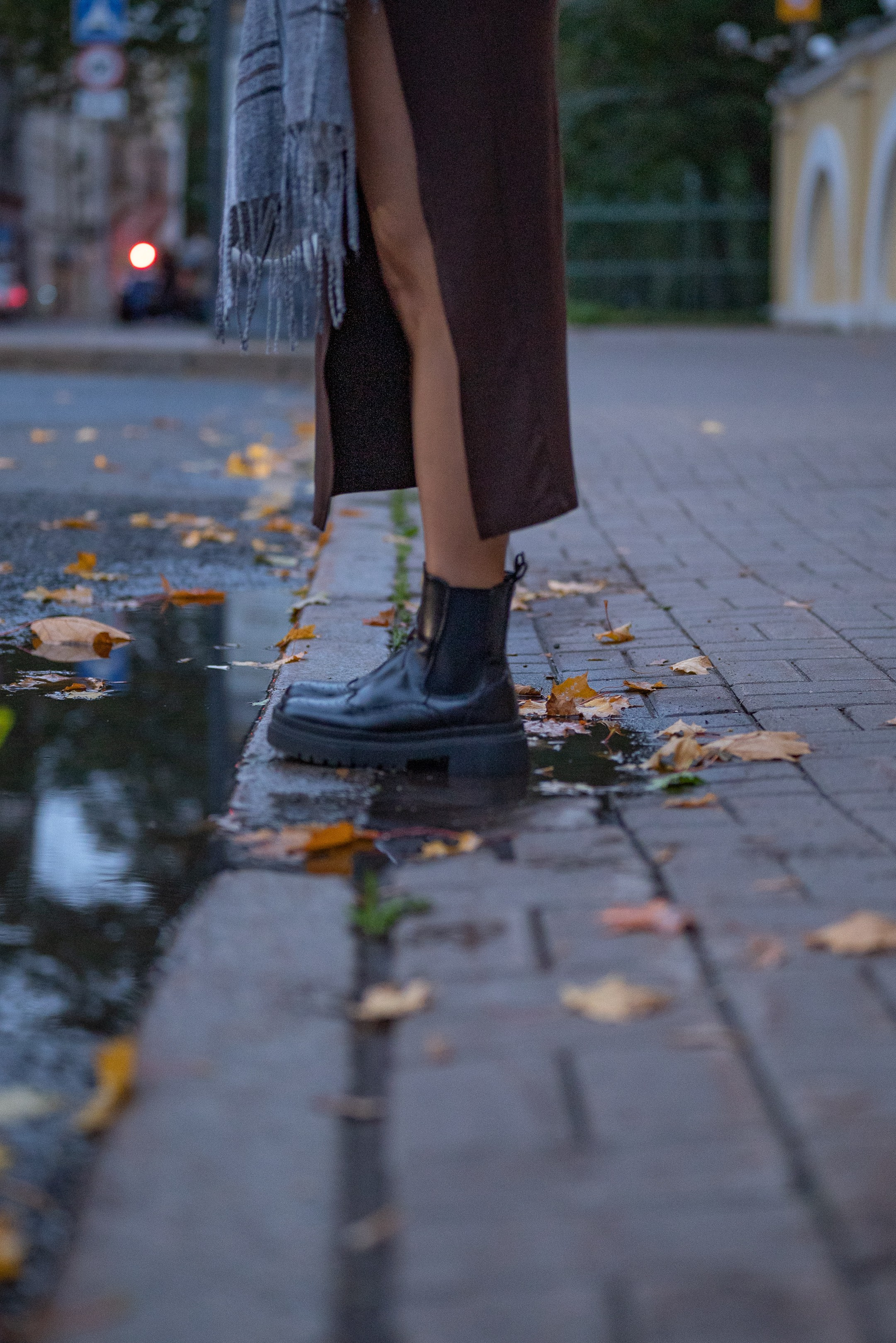 Таврический сад и прогулка. Дарья Медведева