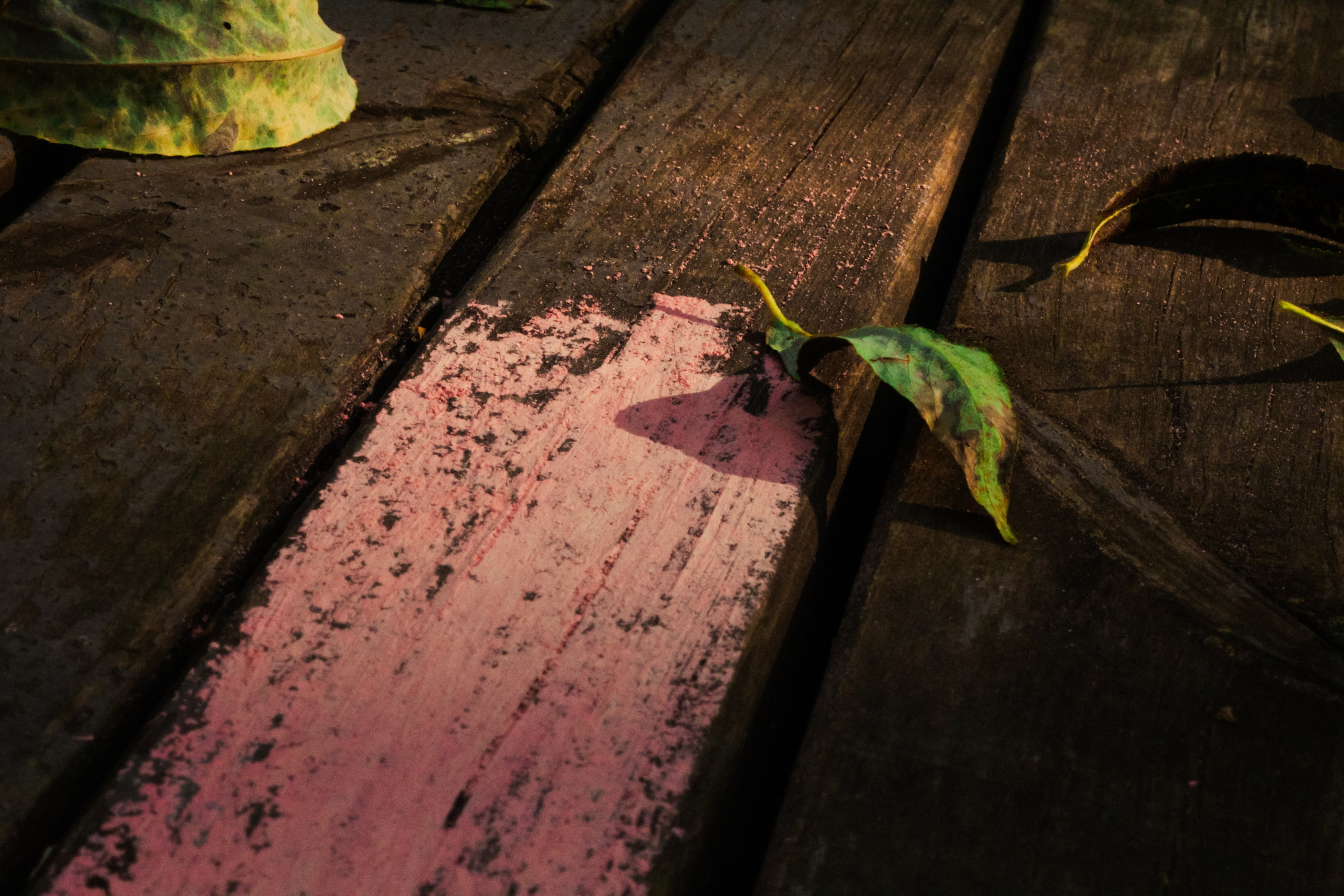 Парк у дома. Фотограф Москва, портрет, стрит, репортаж. Художественная фотосессия