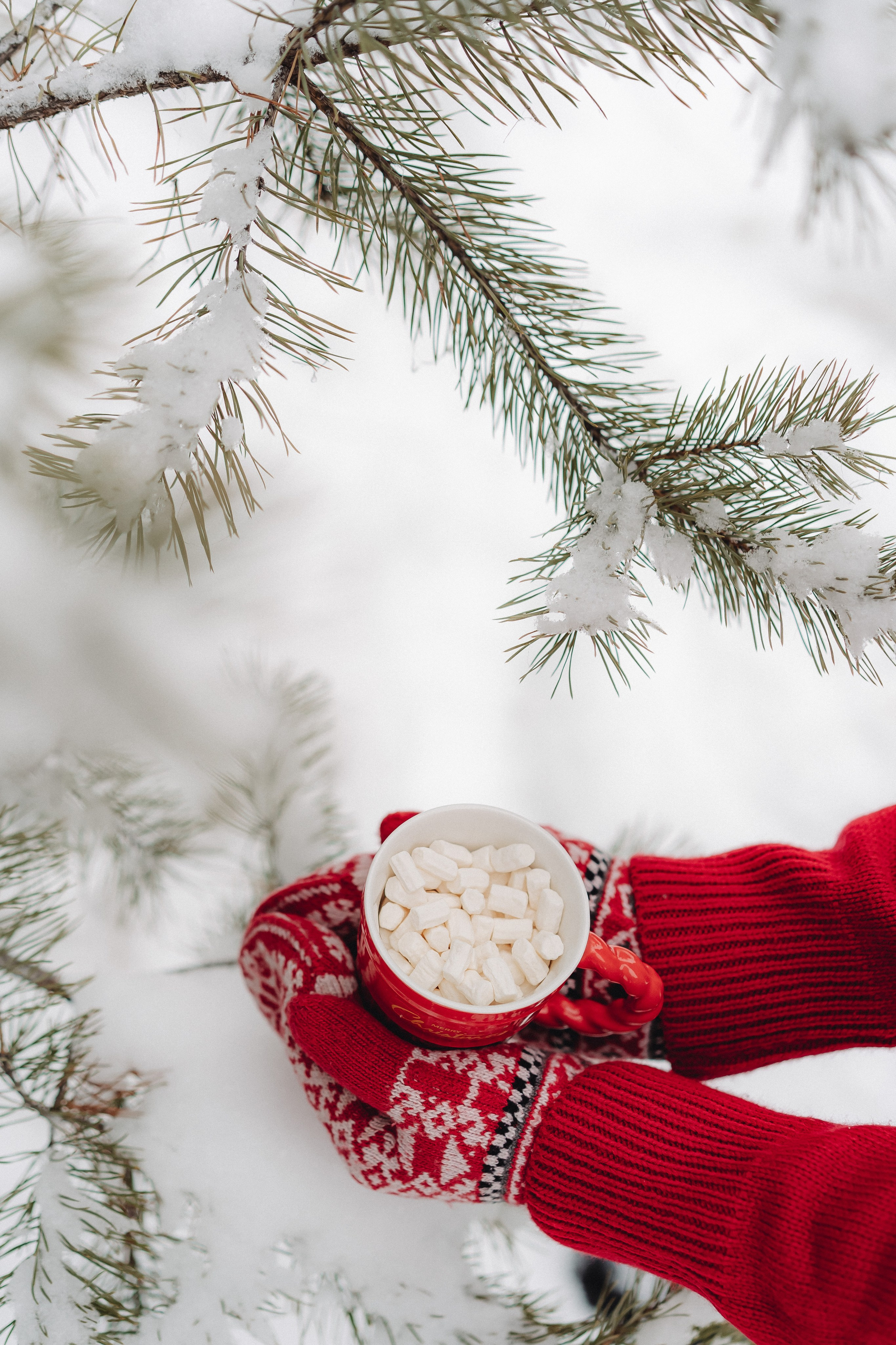 Город, природа. Семейный и контент фотограф в Красноярске Власова Екатерина