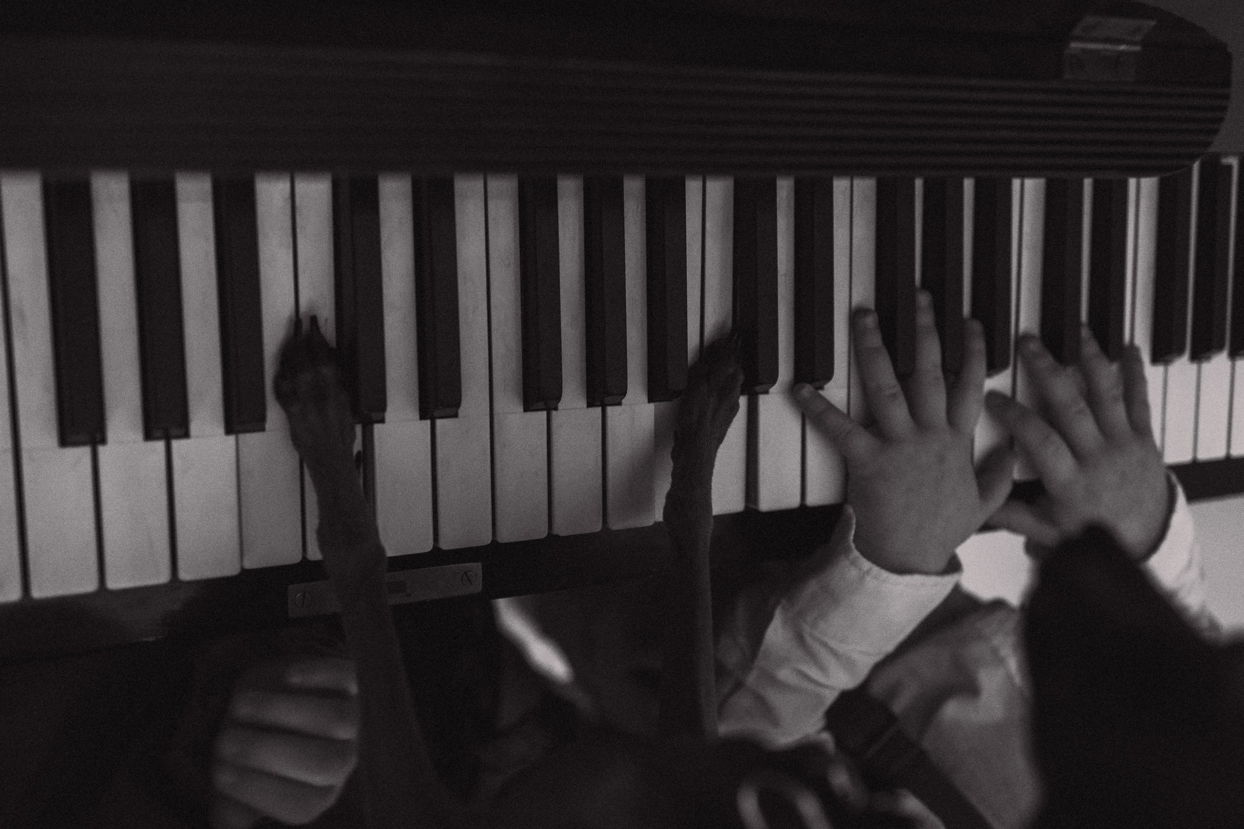 Юлия, Марк, Алиса и собачка Пикси. Семейный фотограф в Москве Ксения Аганина