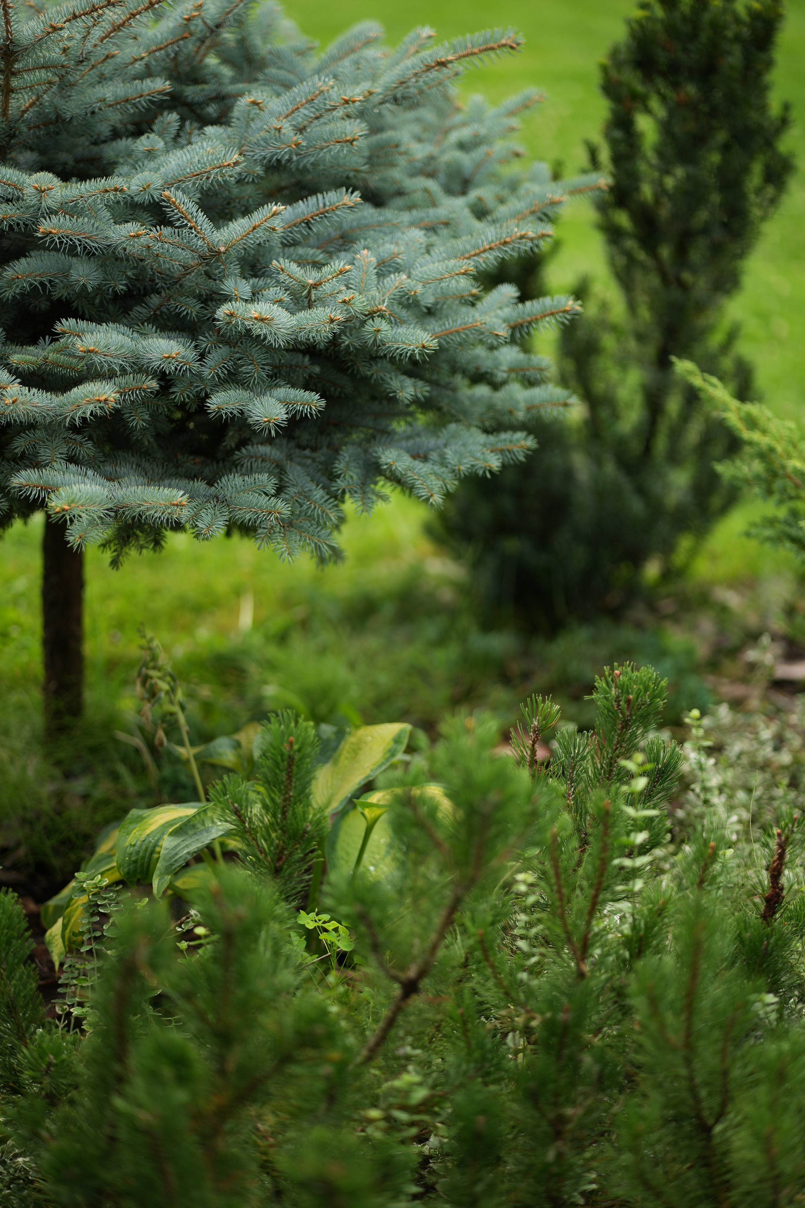 Час 1500 пример фотосессии пакет «ФОТО НА ПАМЯТЬ» (без обработки). Фотограф Нижний Новгород Татьяна Кэйод