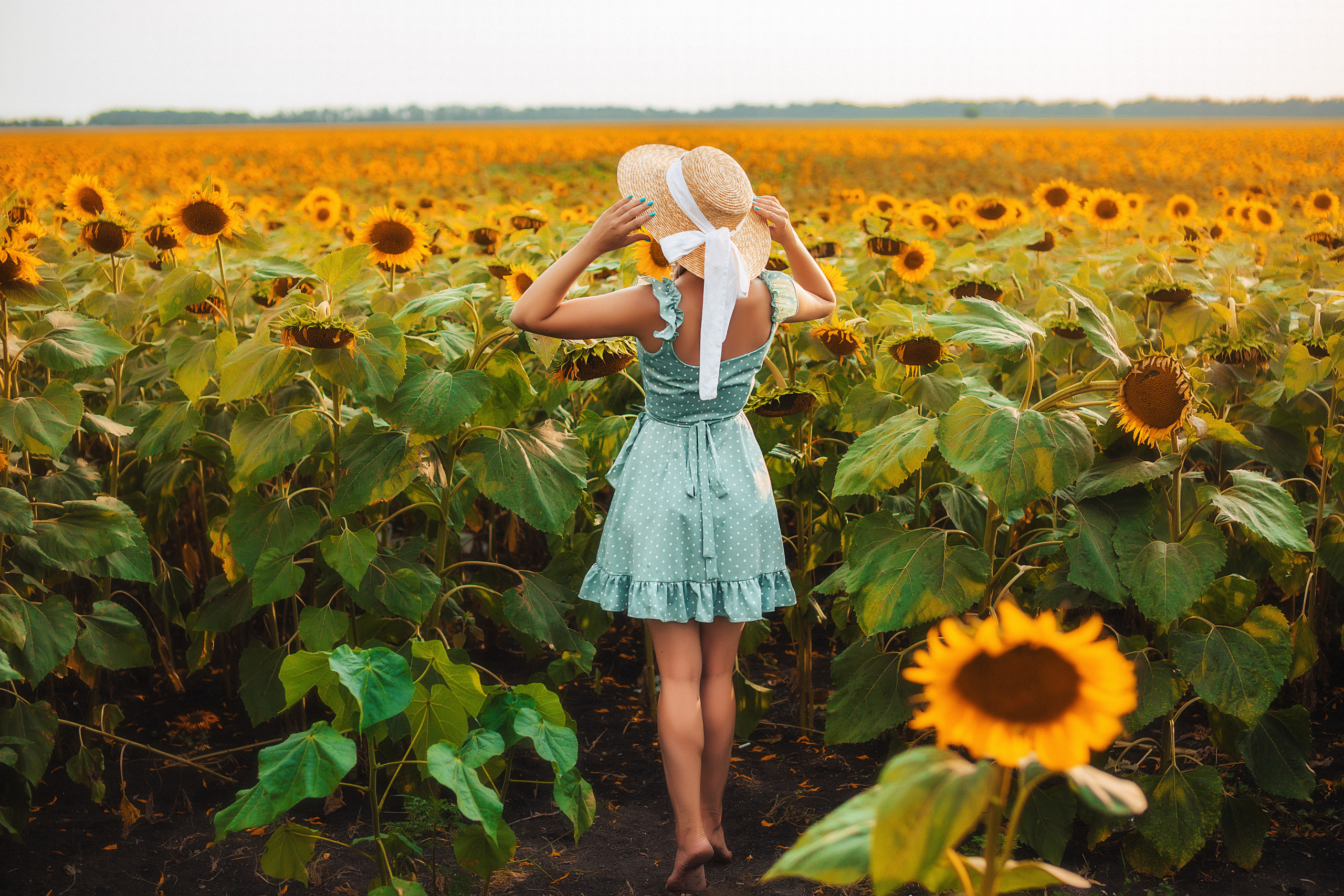 Подсолнухи. Свадебный и семейный фотограф/видеограф в Краснодаре Наталья Осинская