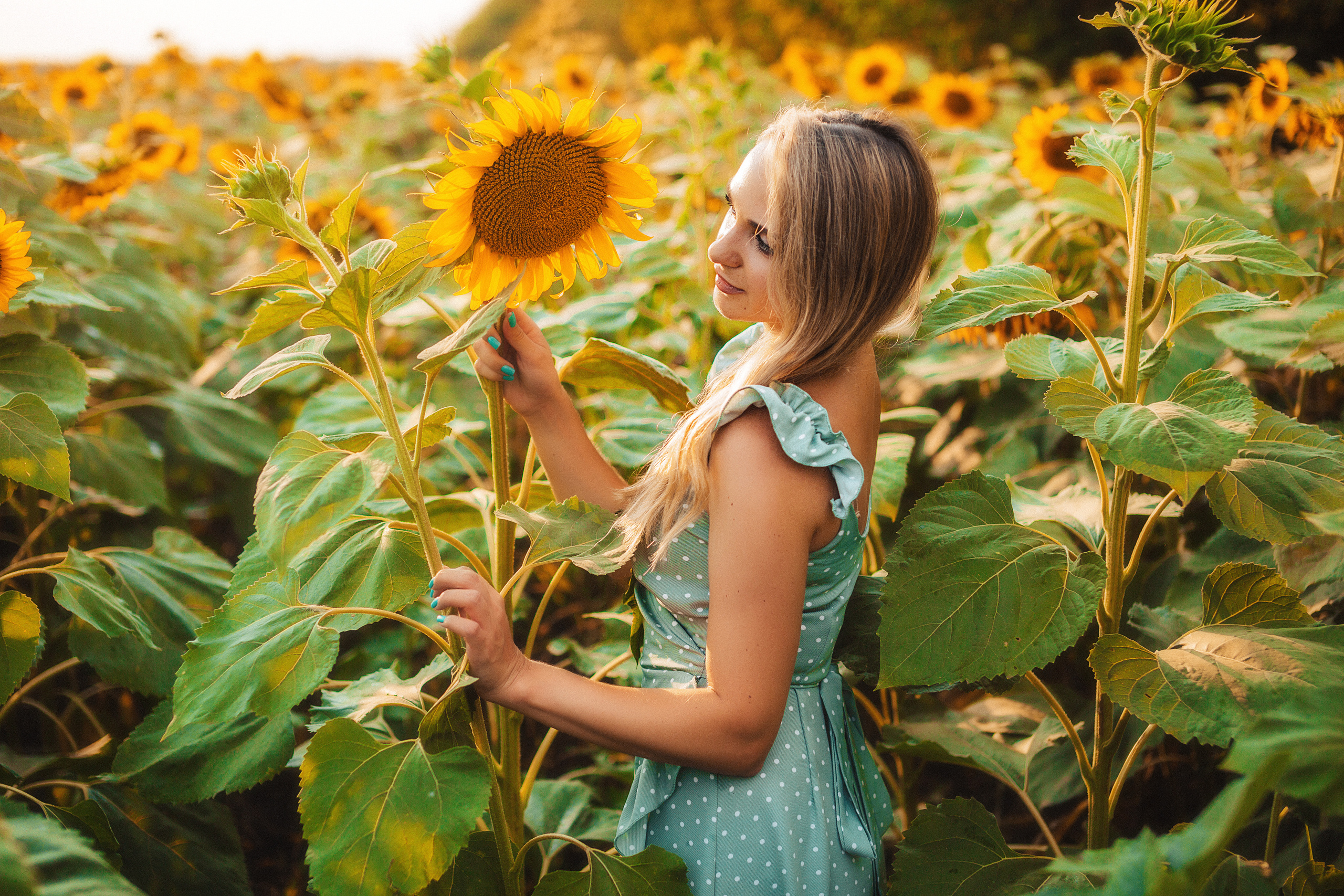 Подсолнухи. Свадебный и семейный фотограф/видеограф в Краснодаре Наталья Осинская