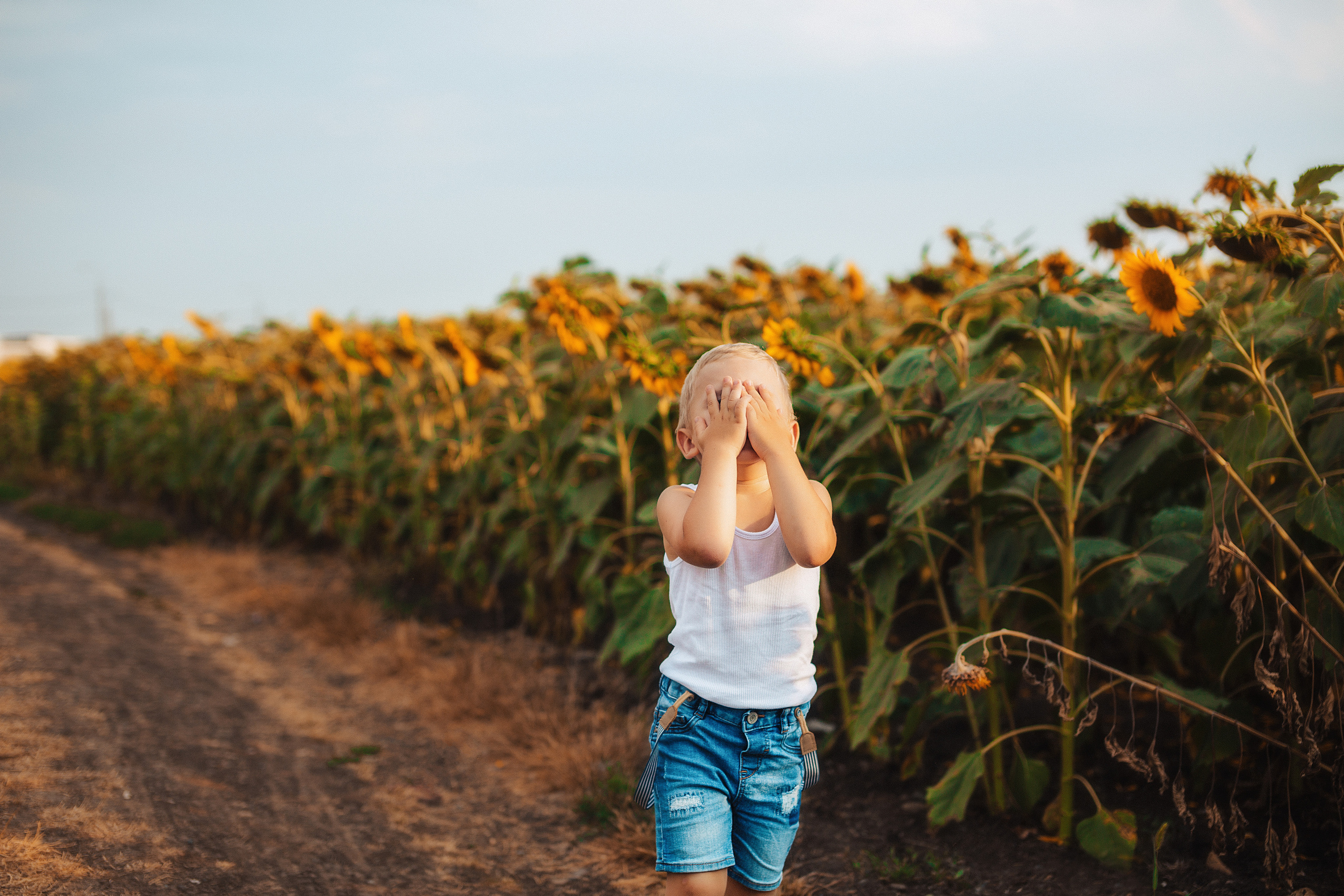 Подсолнухи. Свадебный и семейный фотограф/видеограф в Краснодаре Наталья Осинская