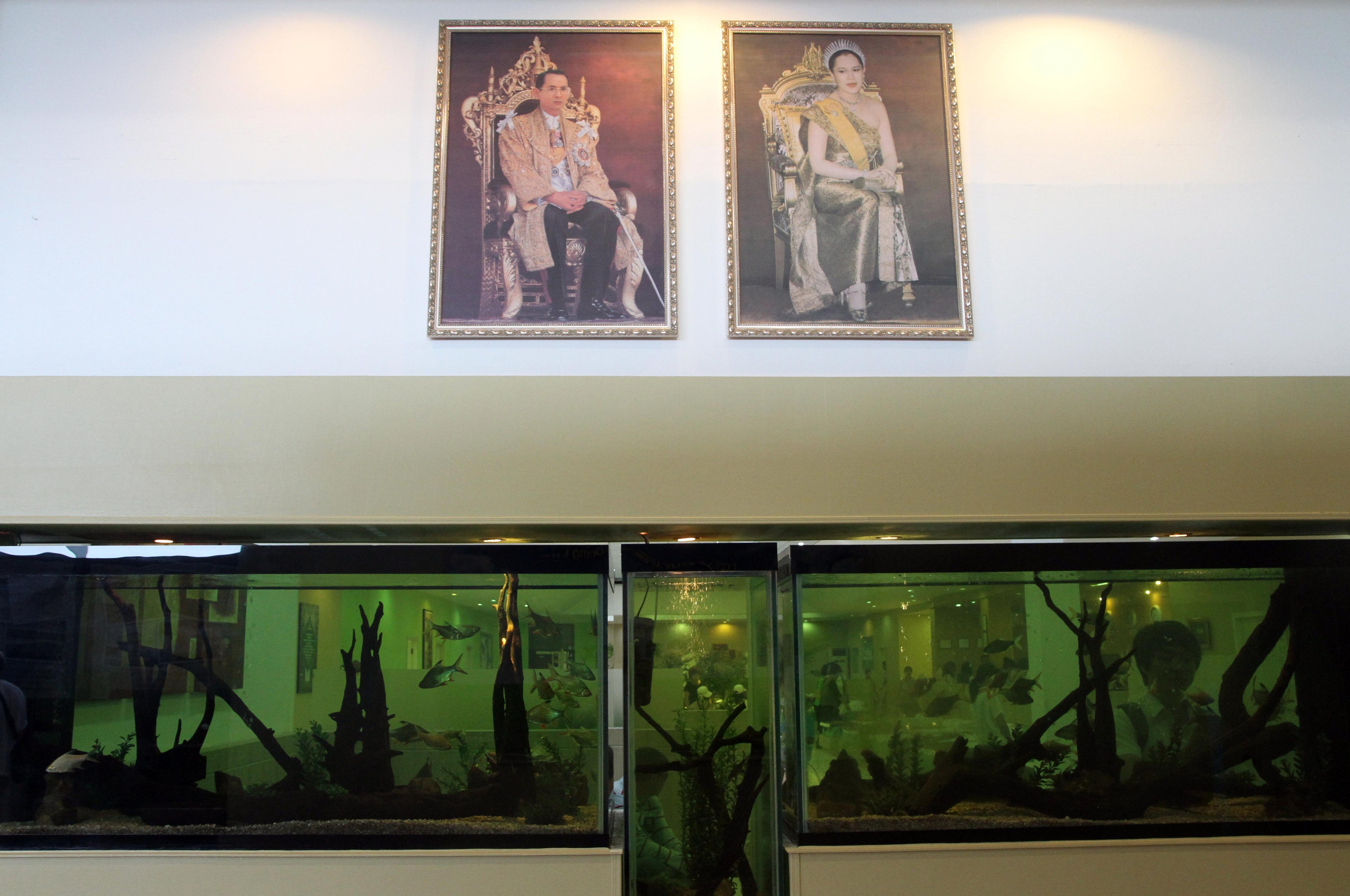 Тайланд 2012 г. Улица, люди, жизнь…