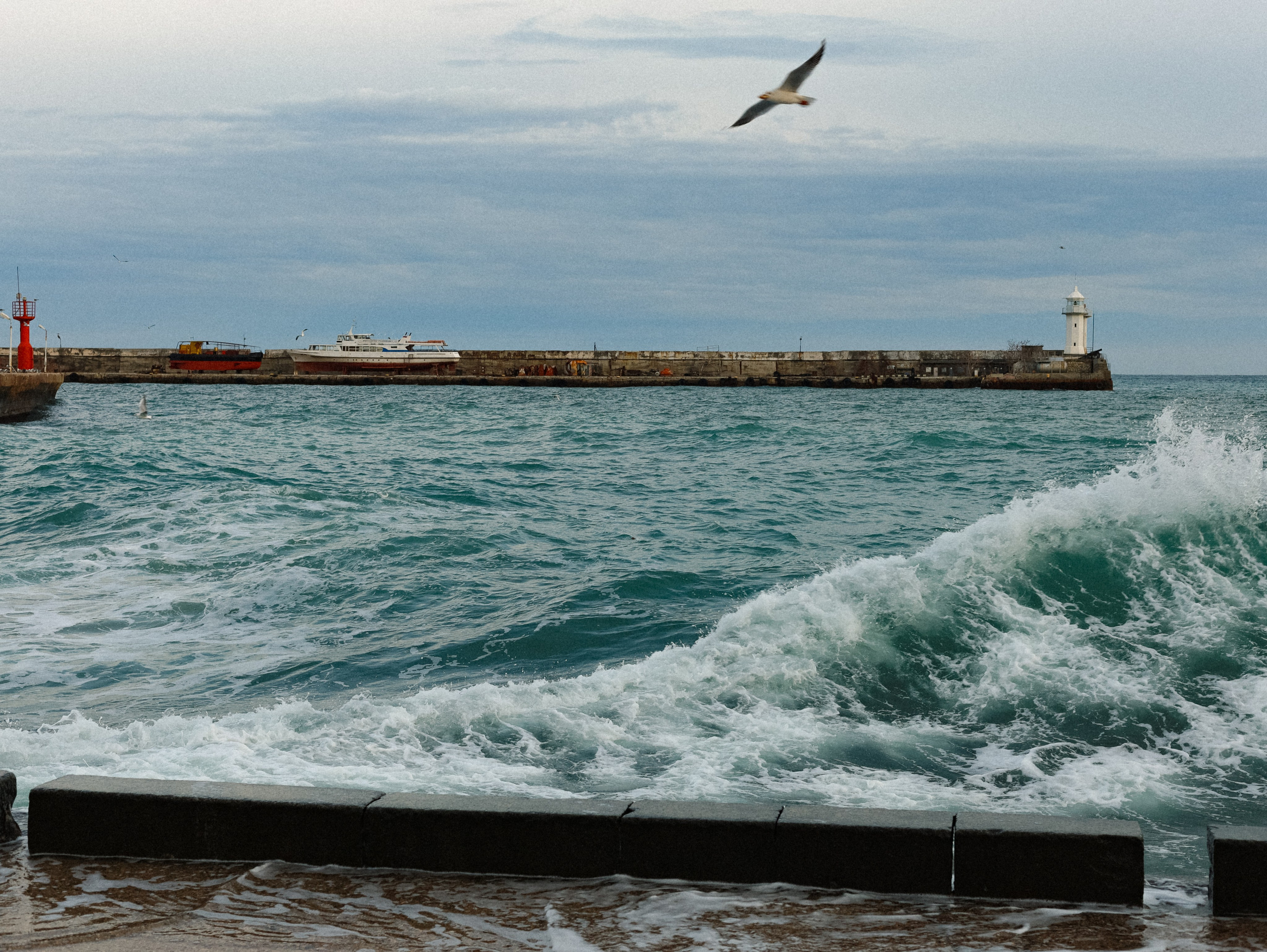 Природа &. Фотохудожник в СПб