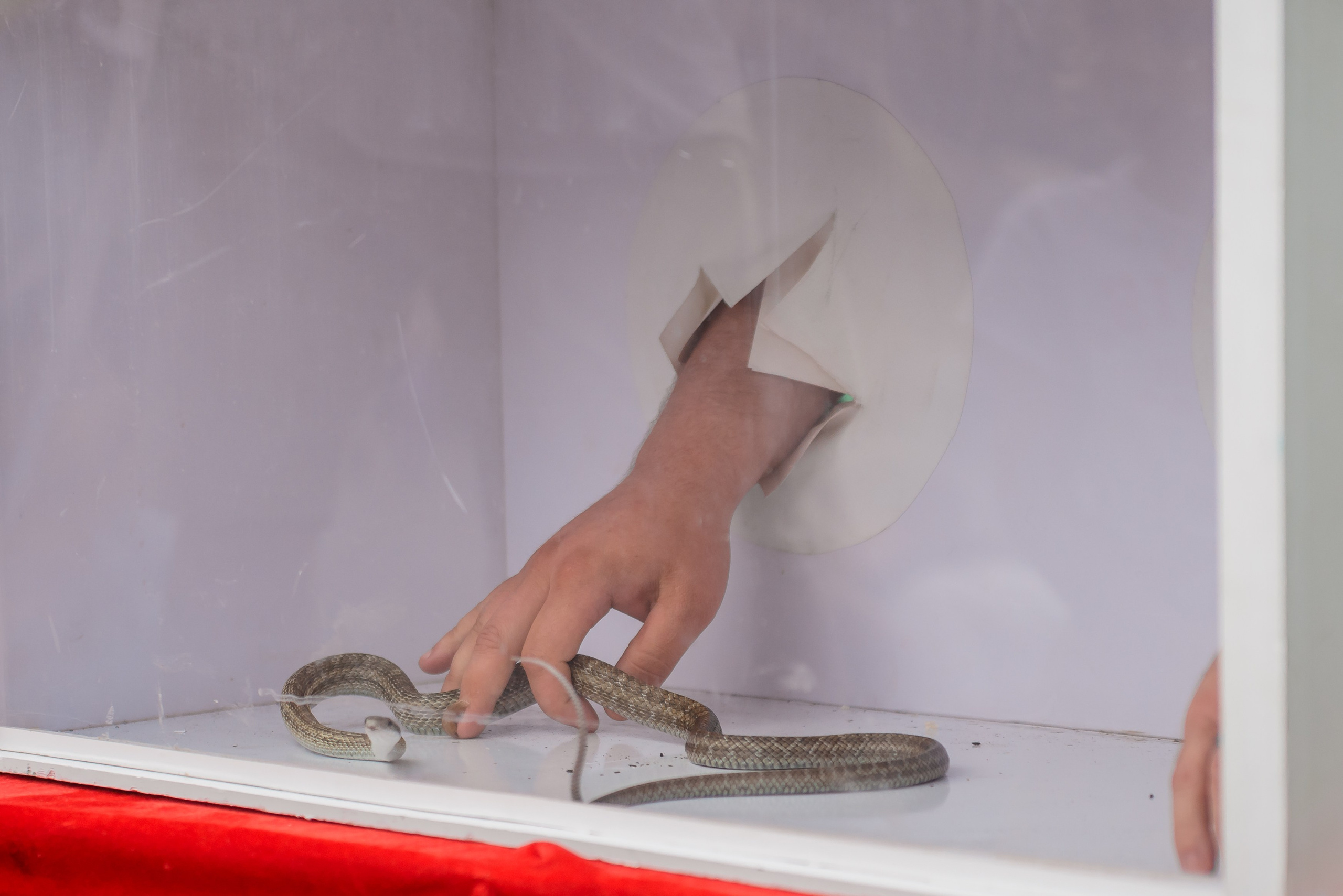 12 Июня 2024. Детский фотограф, семейный фотограф и репортажи в Кемерово