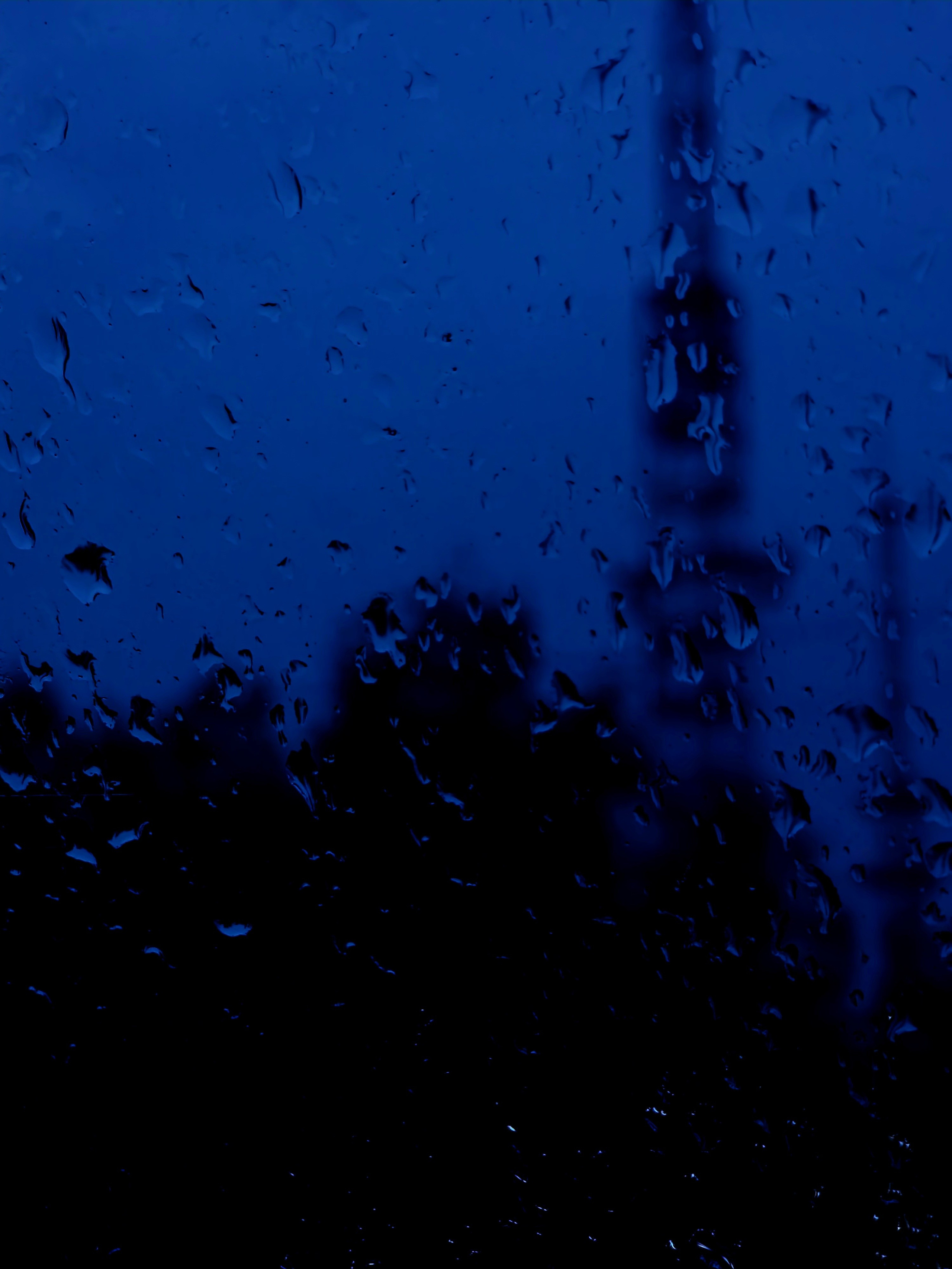 Август 2025. Den Mirov — Фотограф, Музыкант