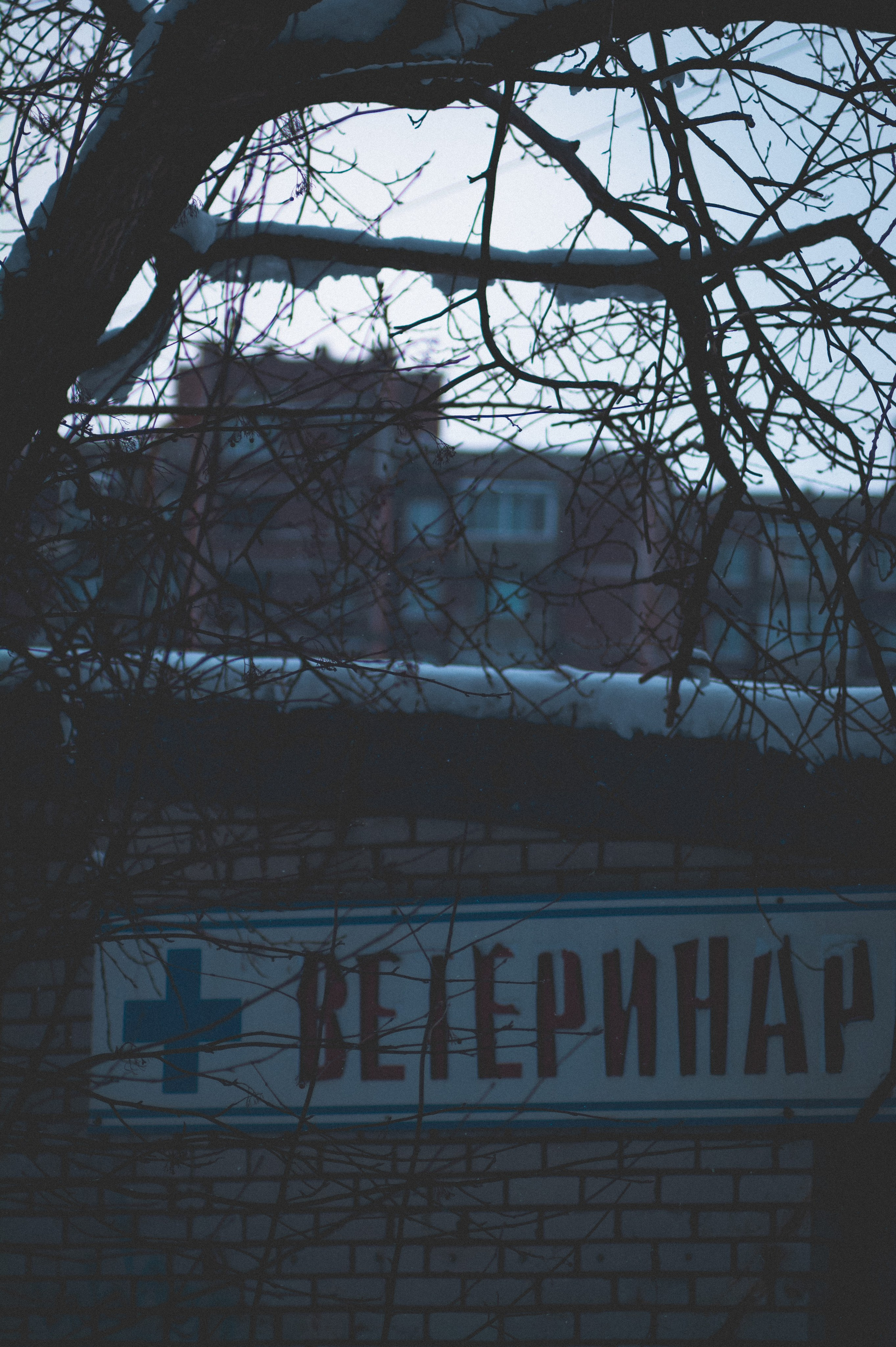 Судостроительный. Den Mirov — Фотограф, Музыкант