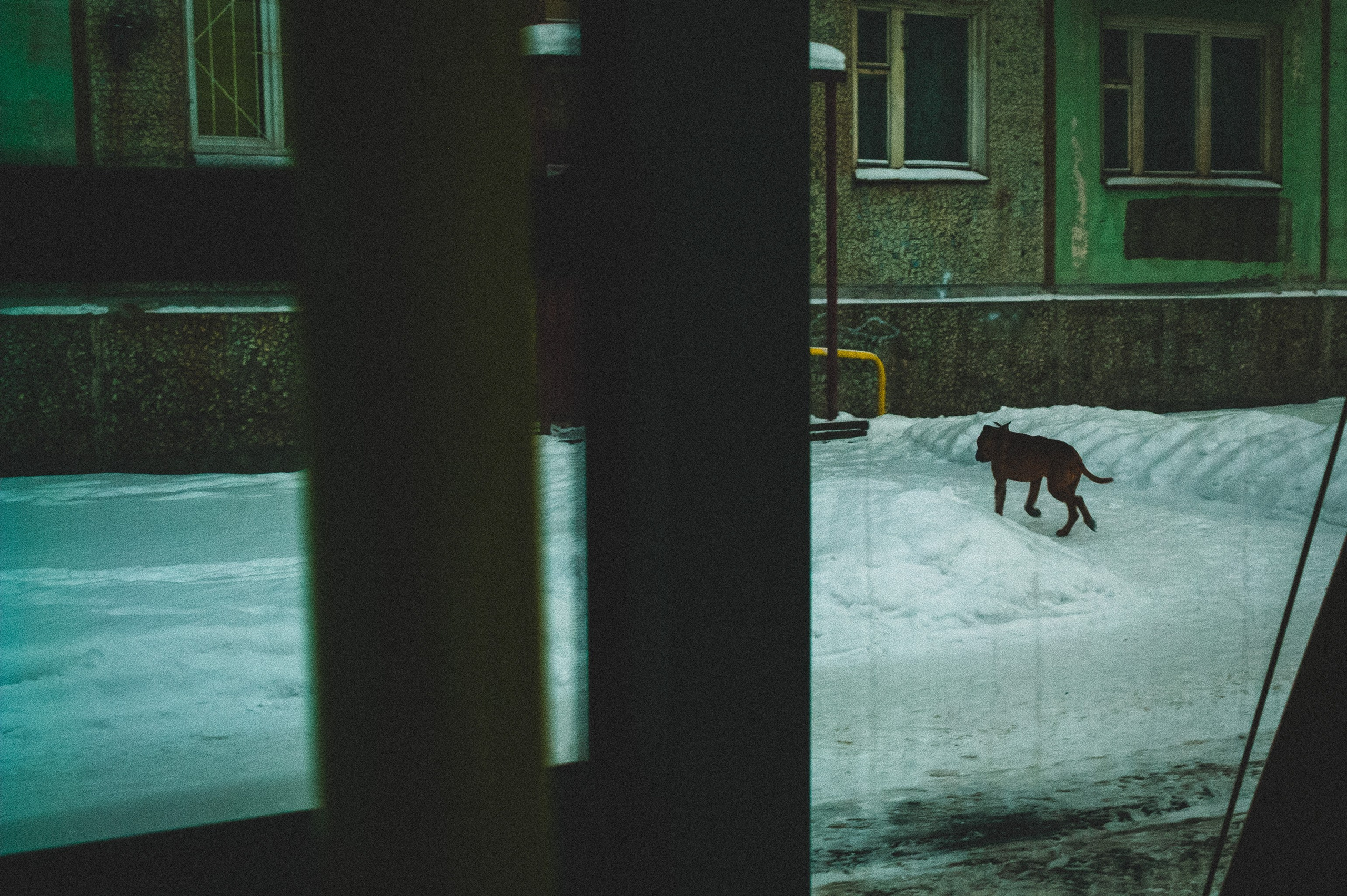 Time of Day. Den Mirov — Photographer, Musician