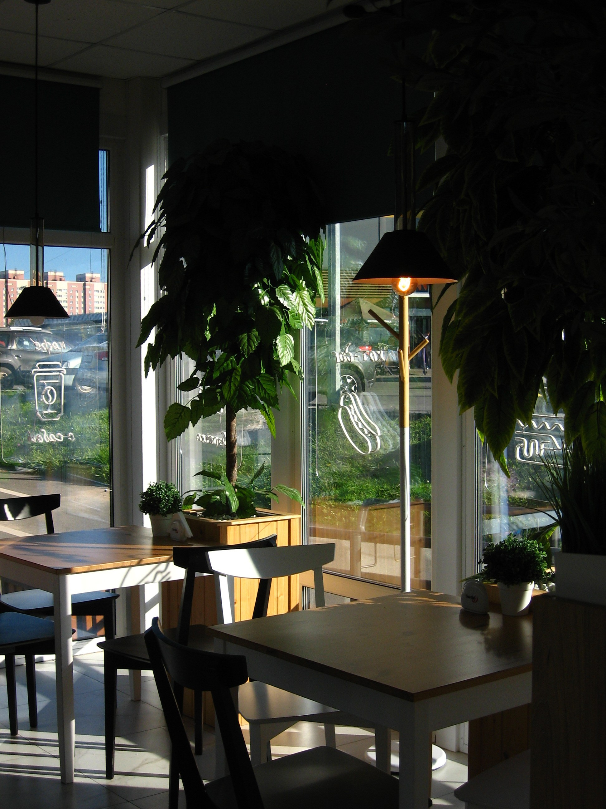 Сентябрь 2025. Den Mirov — Фотограф, Музыкант