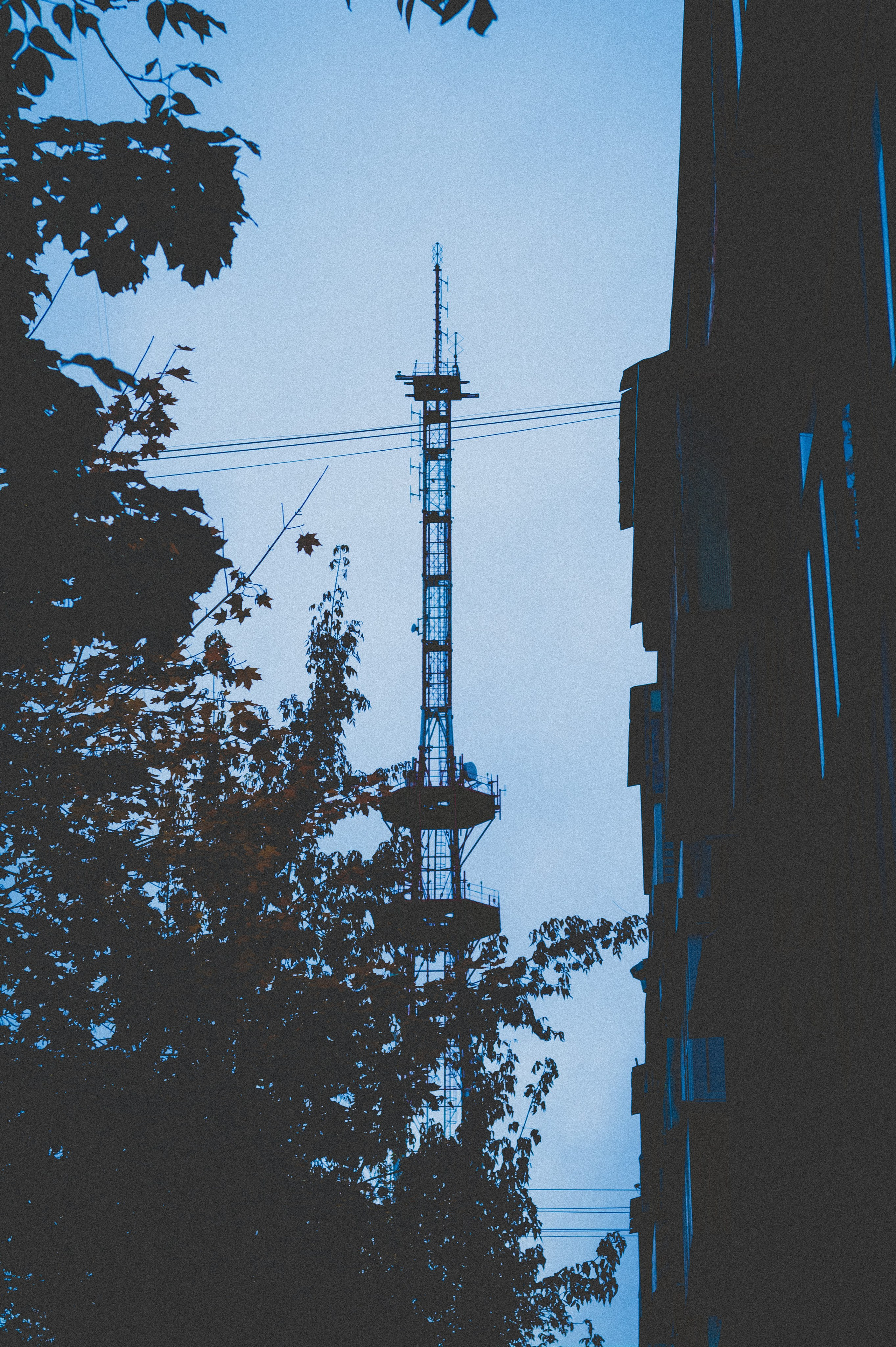 Октябрь 2025. Den Mirov — Фотограф, Музыкант