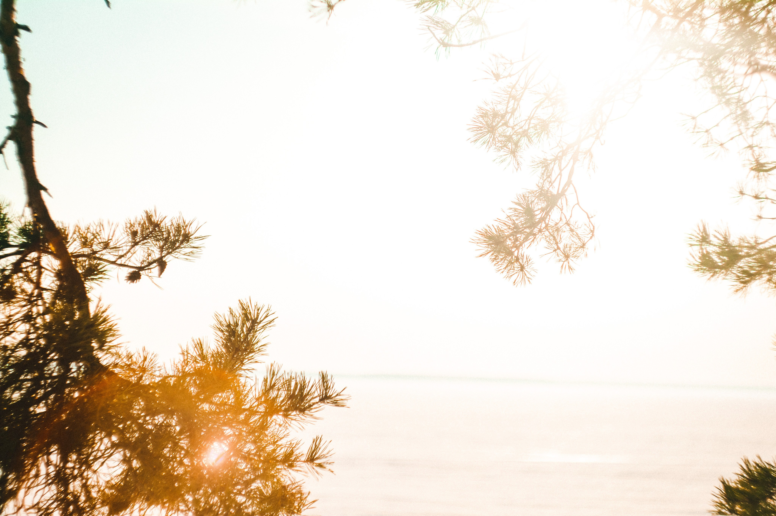 Narcissist. Den Mirov — Photographer, Musician