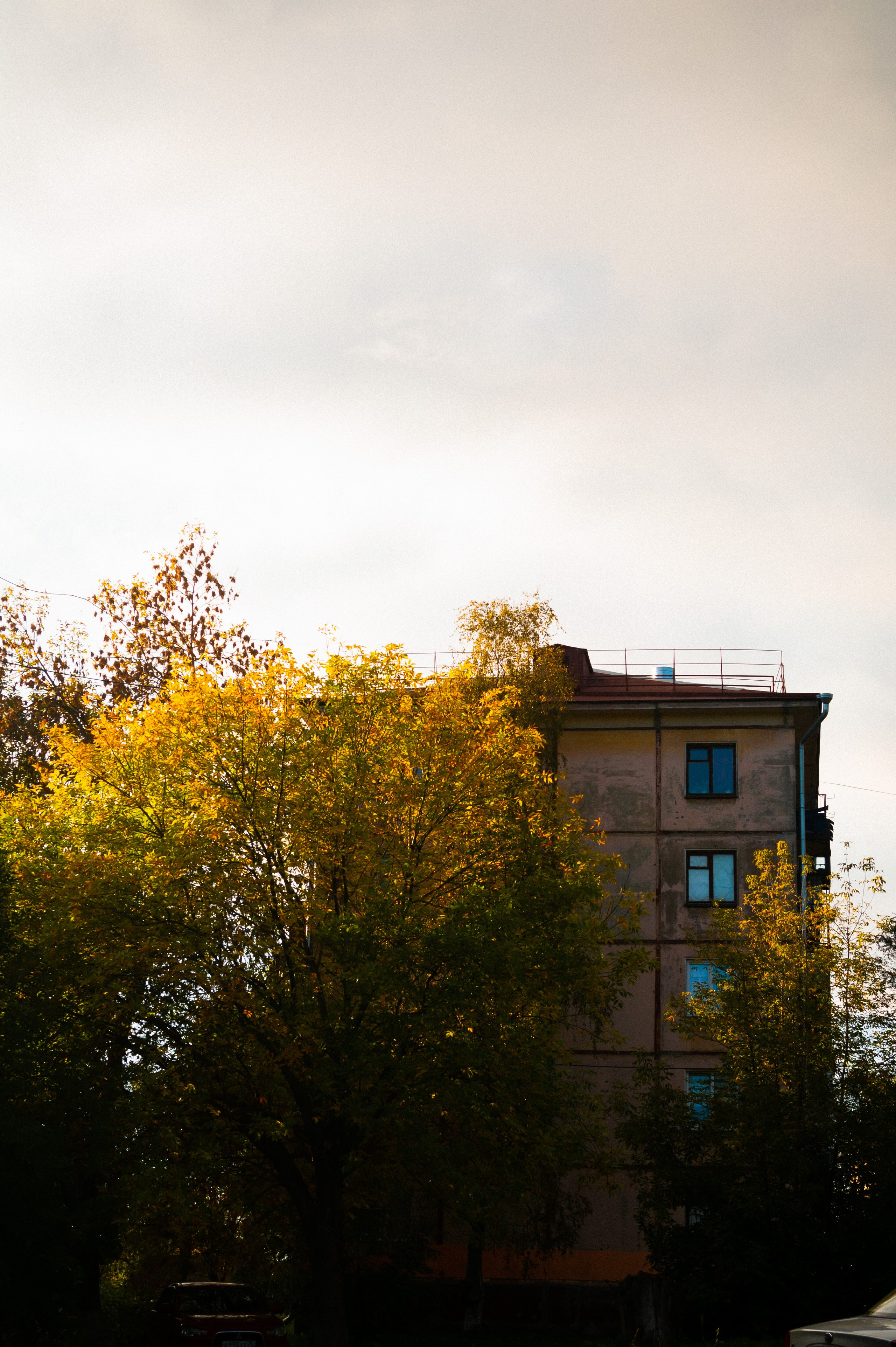 Октябрь 2025. Den Mirov — Фотограф, Музыкант