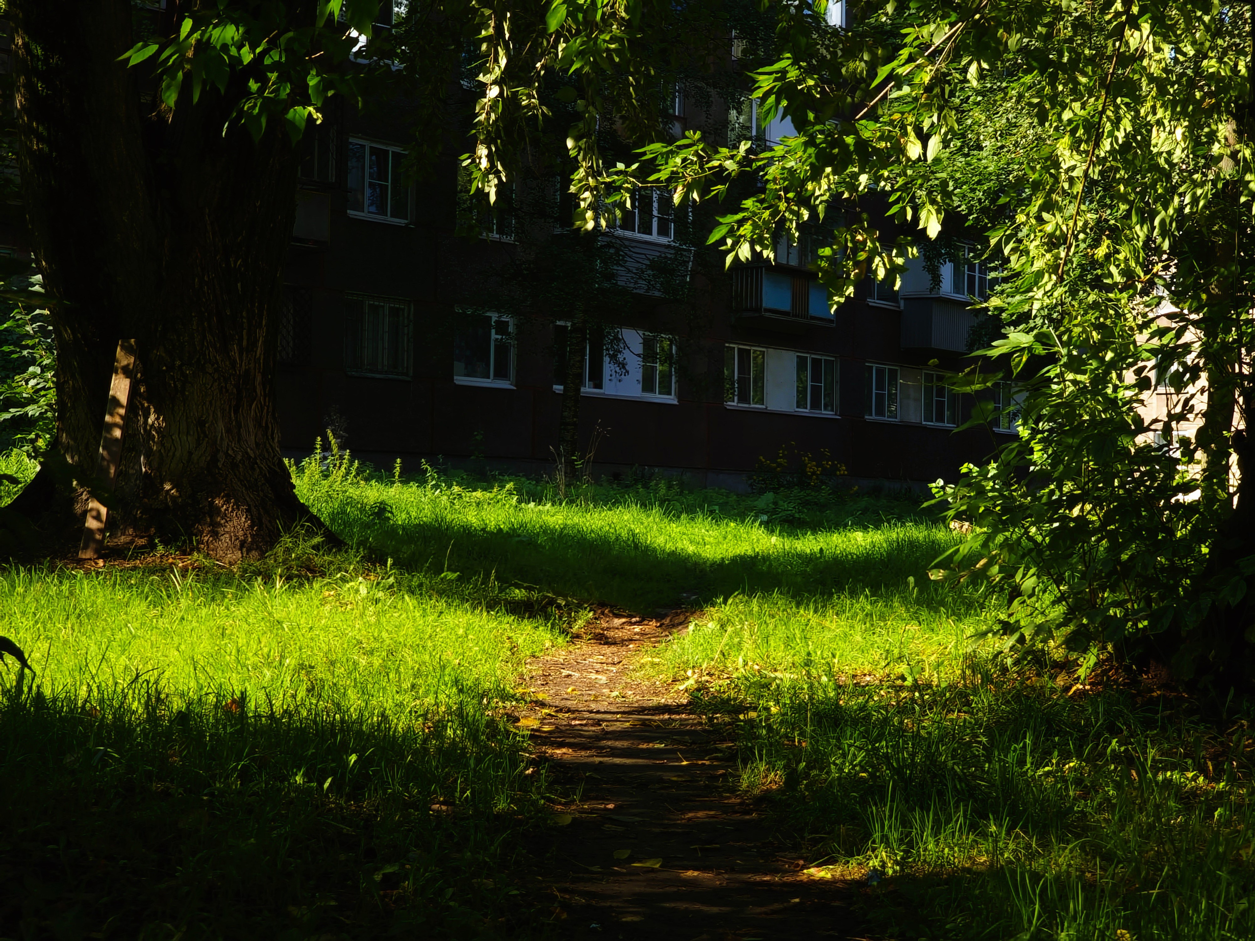 Август 2025. Den Mirov — Фотограф, Музыкант