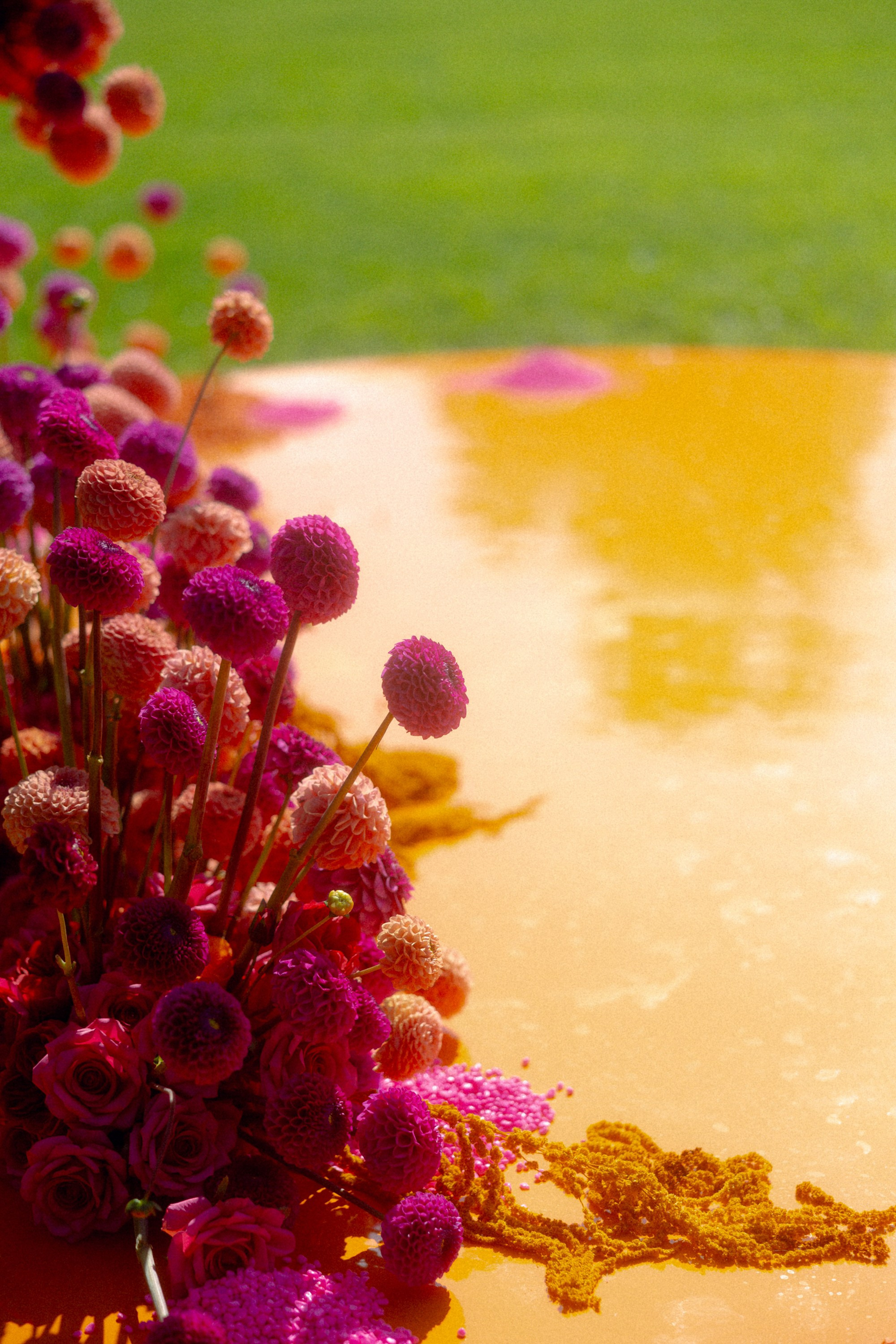 Daniil & Polina Wedding. Антон Прокопенков Свадебный Фотограф +7(916) 013-35-12