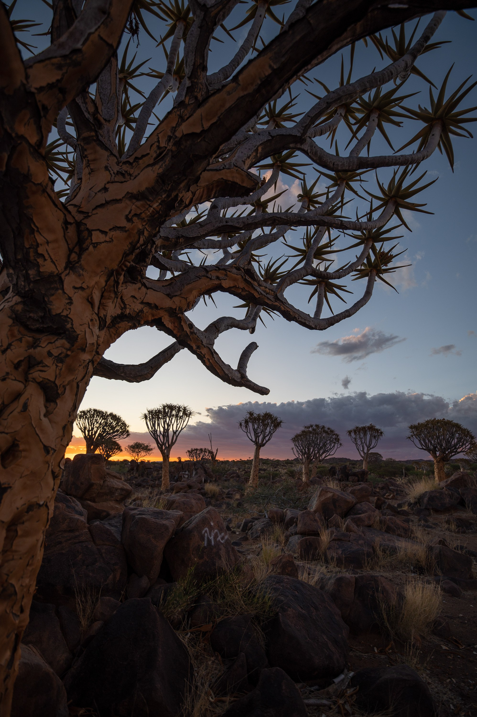 НАМИБИЯ. Роадтрип