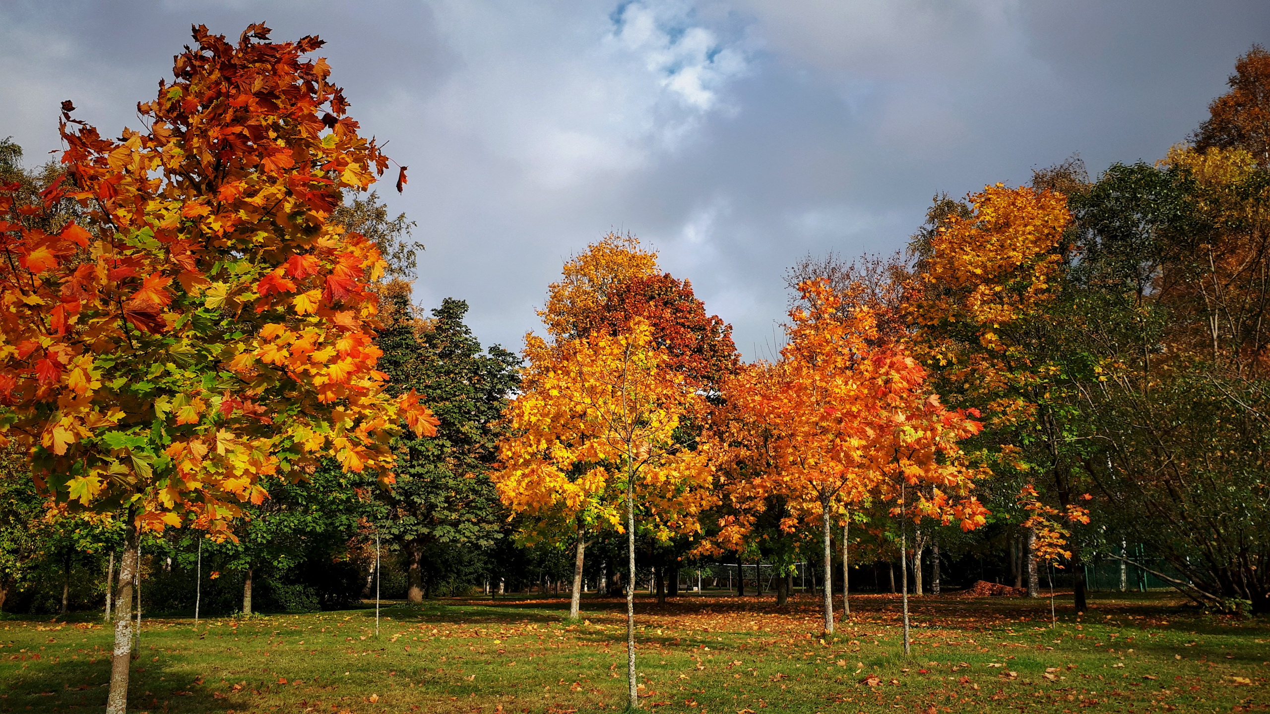 Фото на телефон. Фотошкола и фотокурсы в Абакане