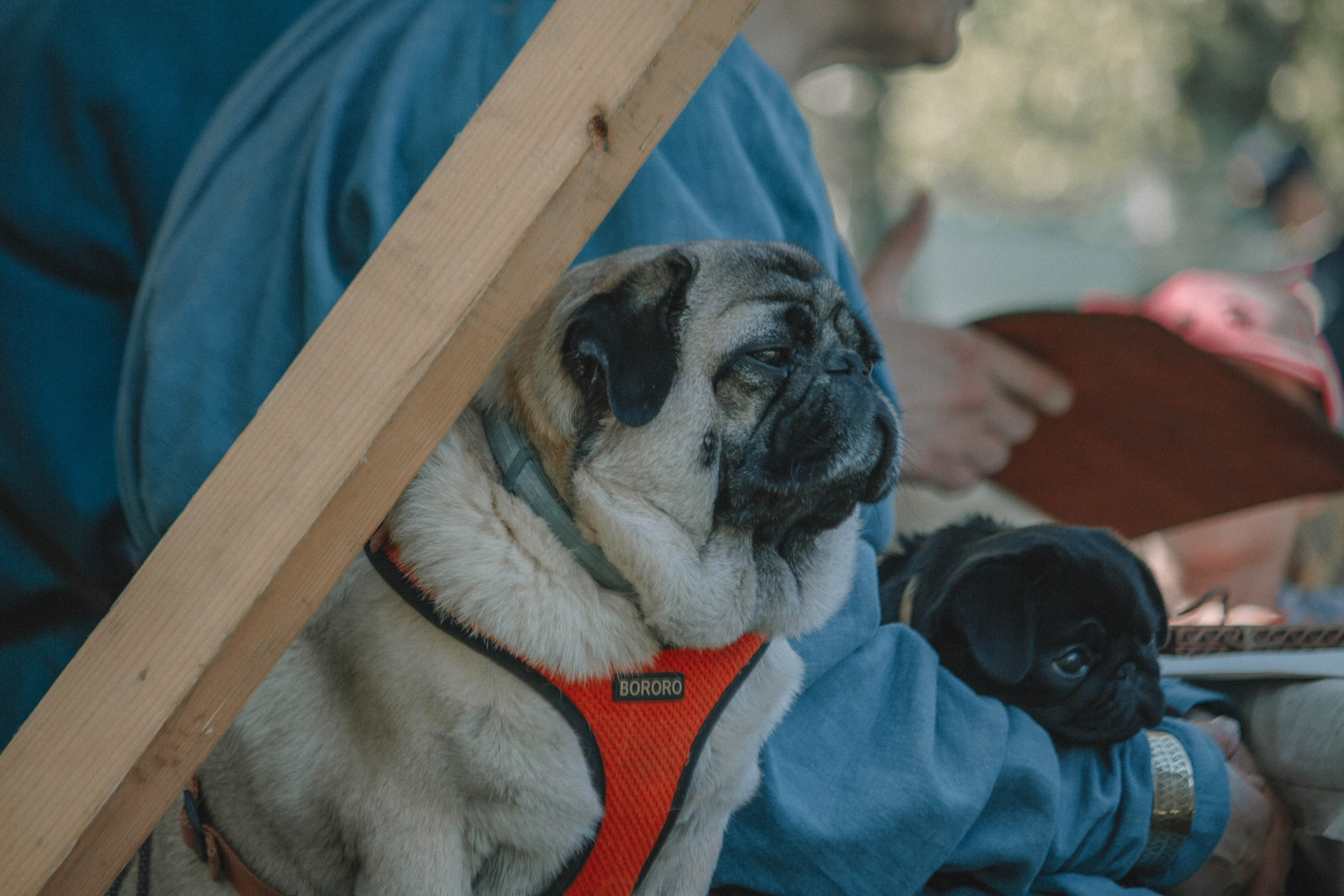 СТАРАЯ ЛАДОГА — Историко-культурный фестиваль. Создадим шедевр? Виталина и её фотоискусство