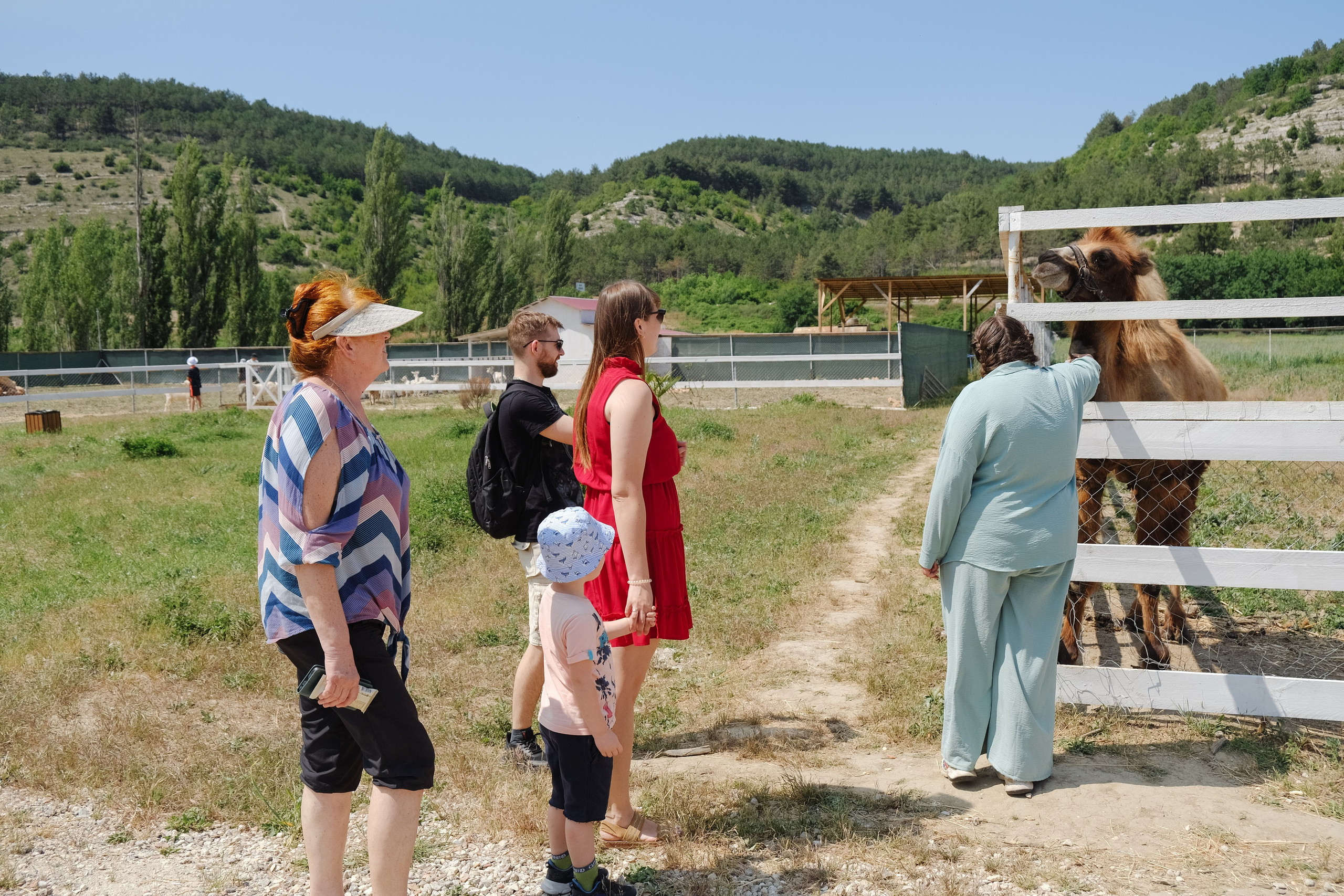 Репортаж на ферме. Профессиональная фотосъемка в Крыму. Натуральные эмоции и живые кадры. Забронируйте дату прямо сейчас!