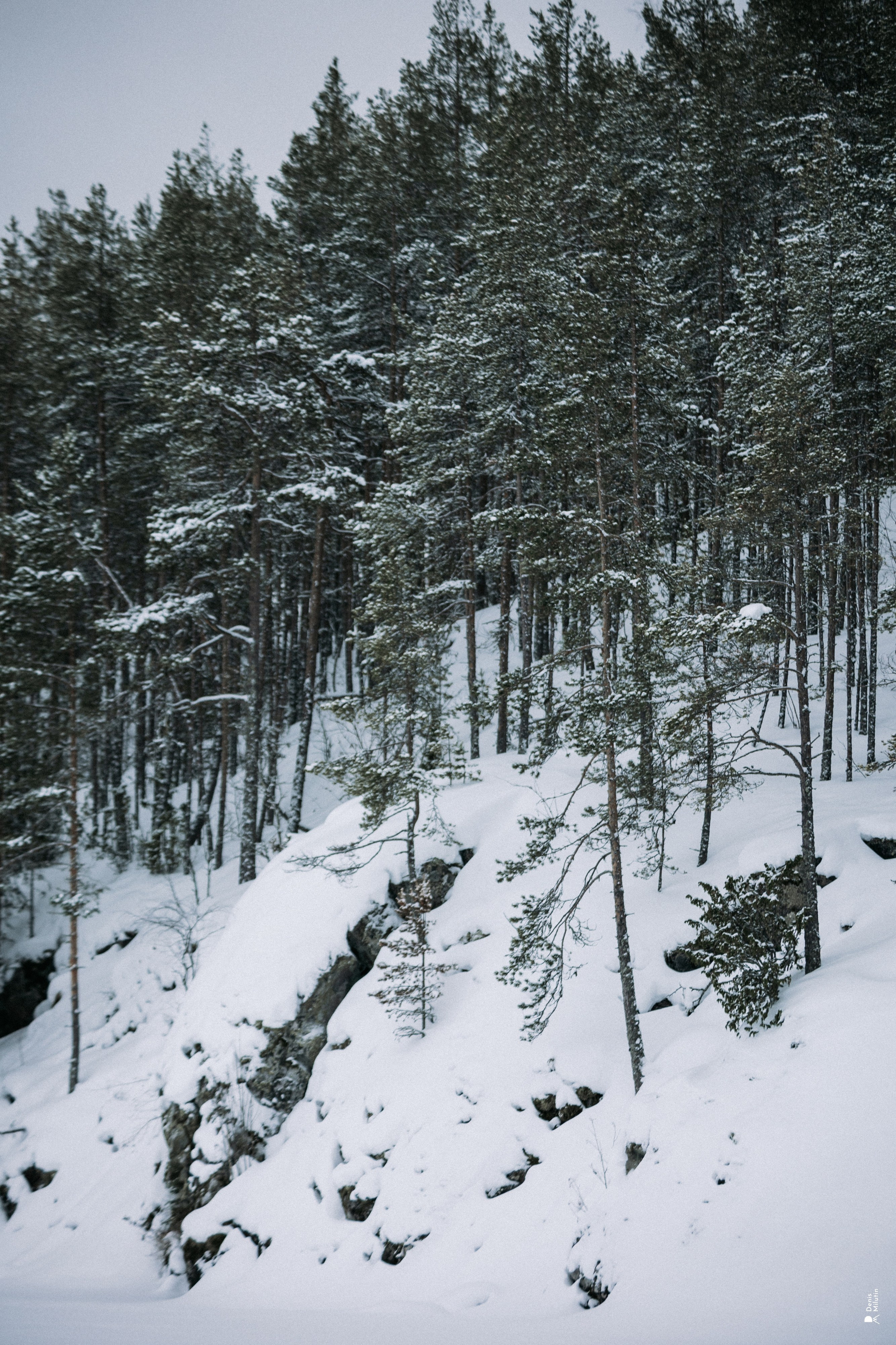 Прогулка по озеру. Портретный фотограф Денис Милютин