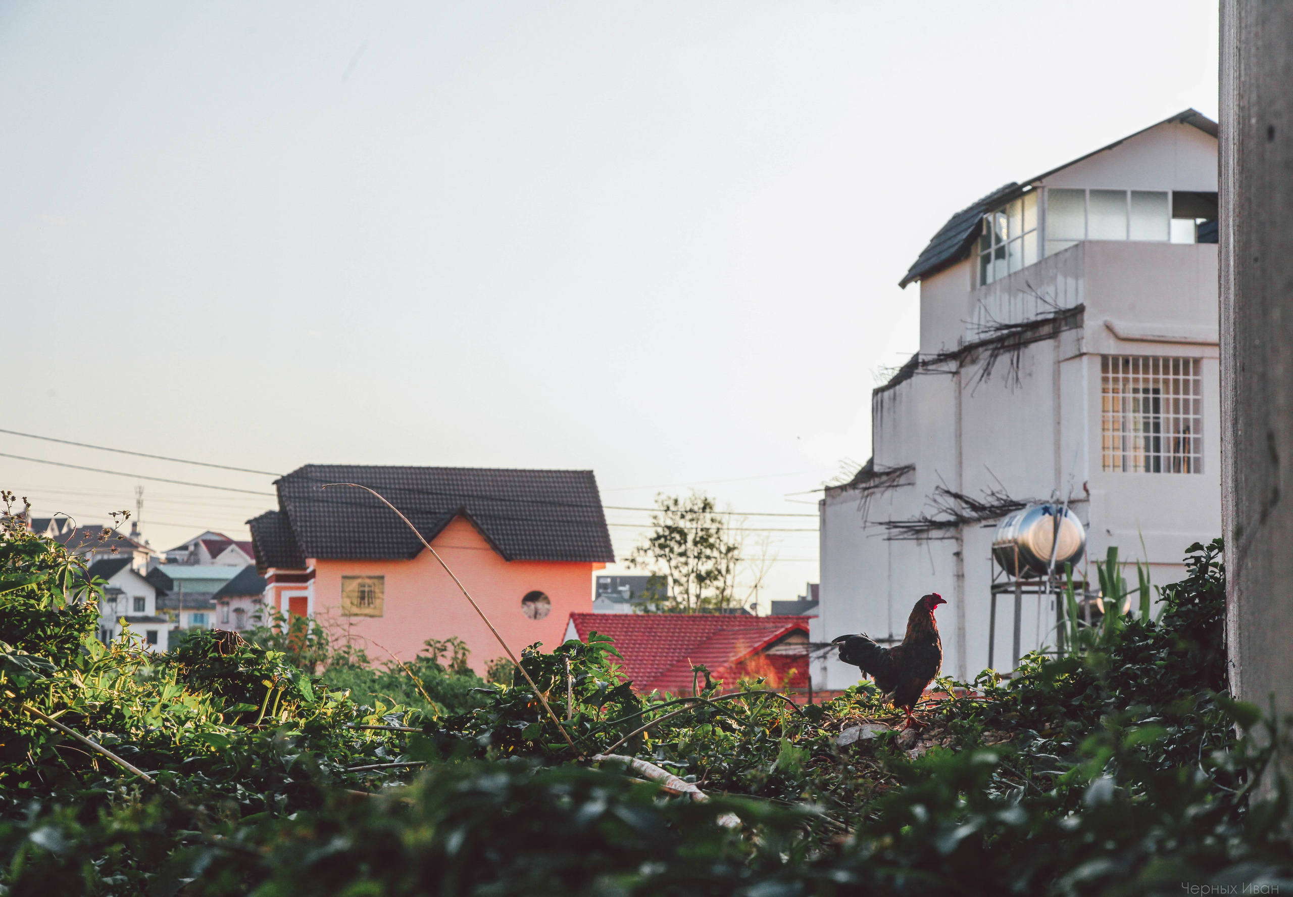ВЬЕТНАМ. Стрит-фотография, полная абсурда, идиотизма и красоты