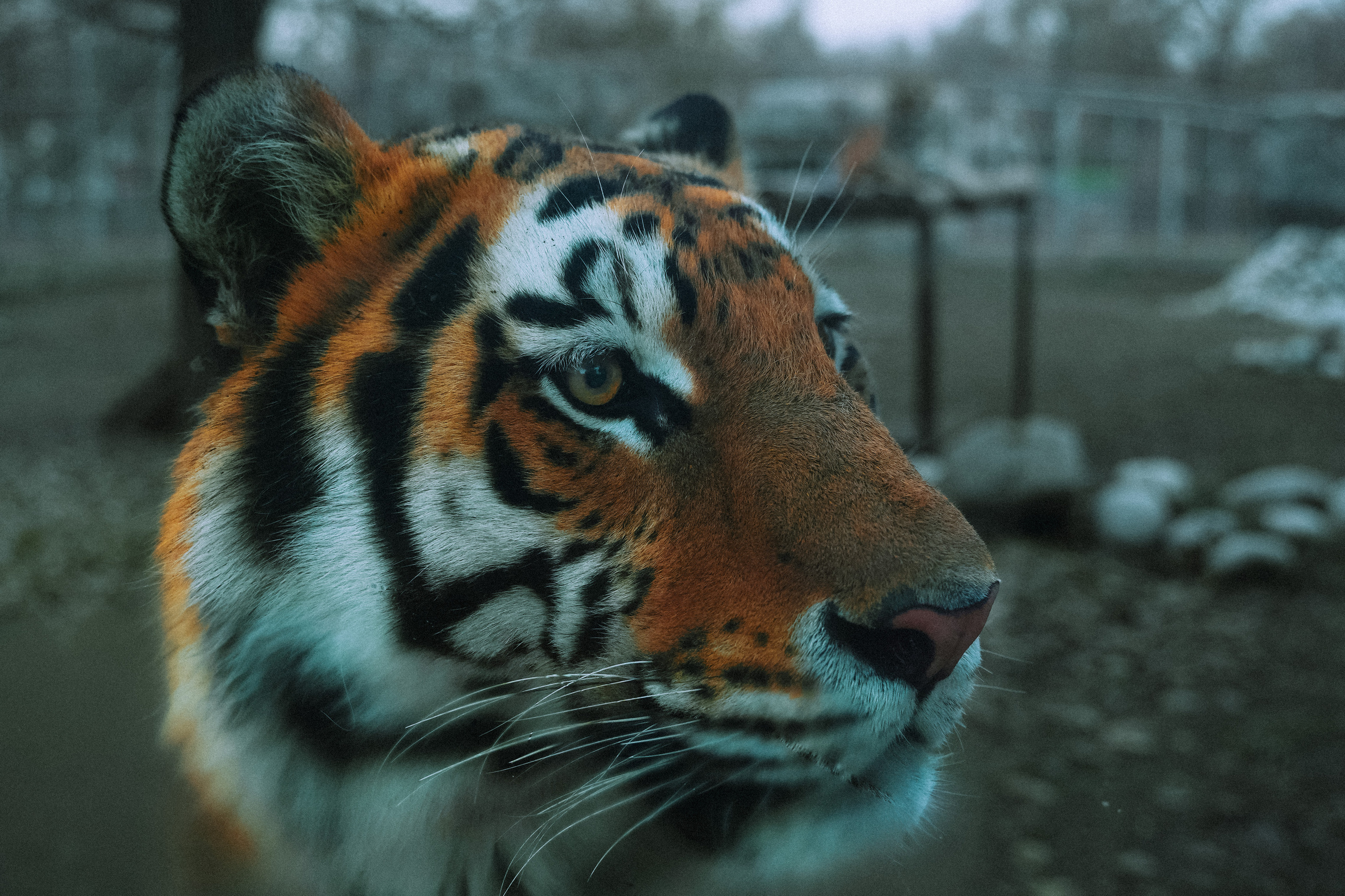 КАЗАХСТАН. Стрит-фотография, полная абсурда, идиотизма и красоты