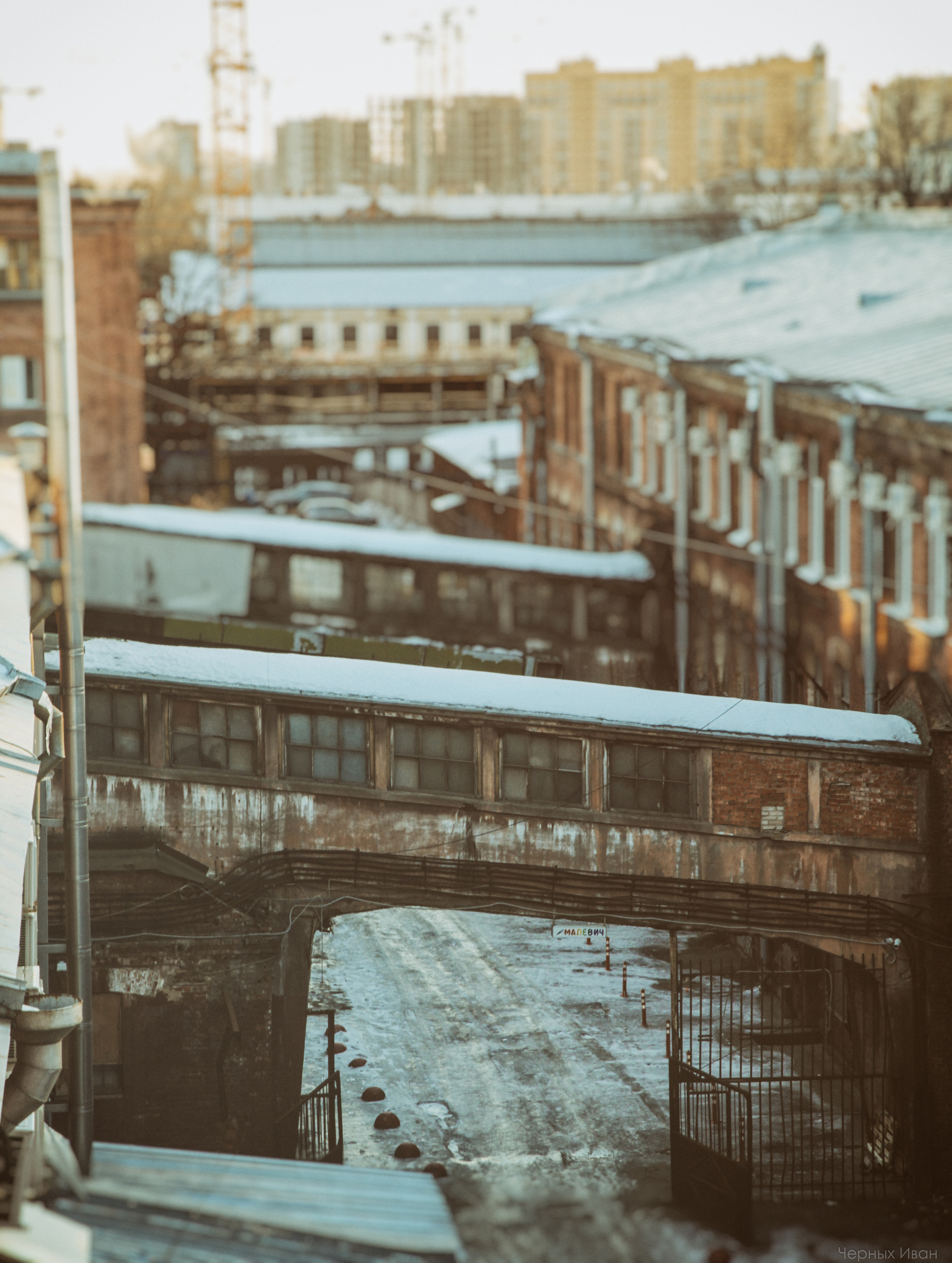 2016. Стрит-фотография, полная абсурда, идиотизма и красоты