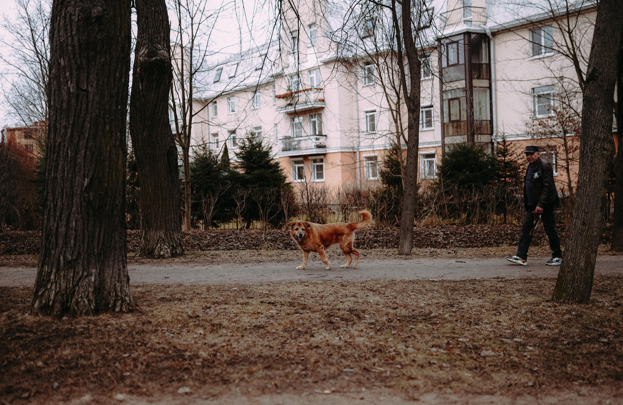 2021. Стрит-фотография, полная абсурда, идиотизма и красоты