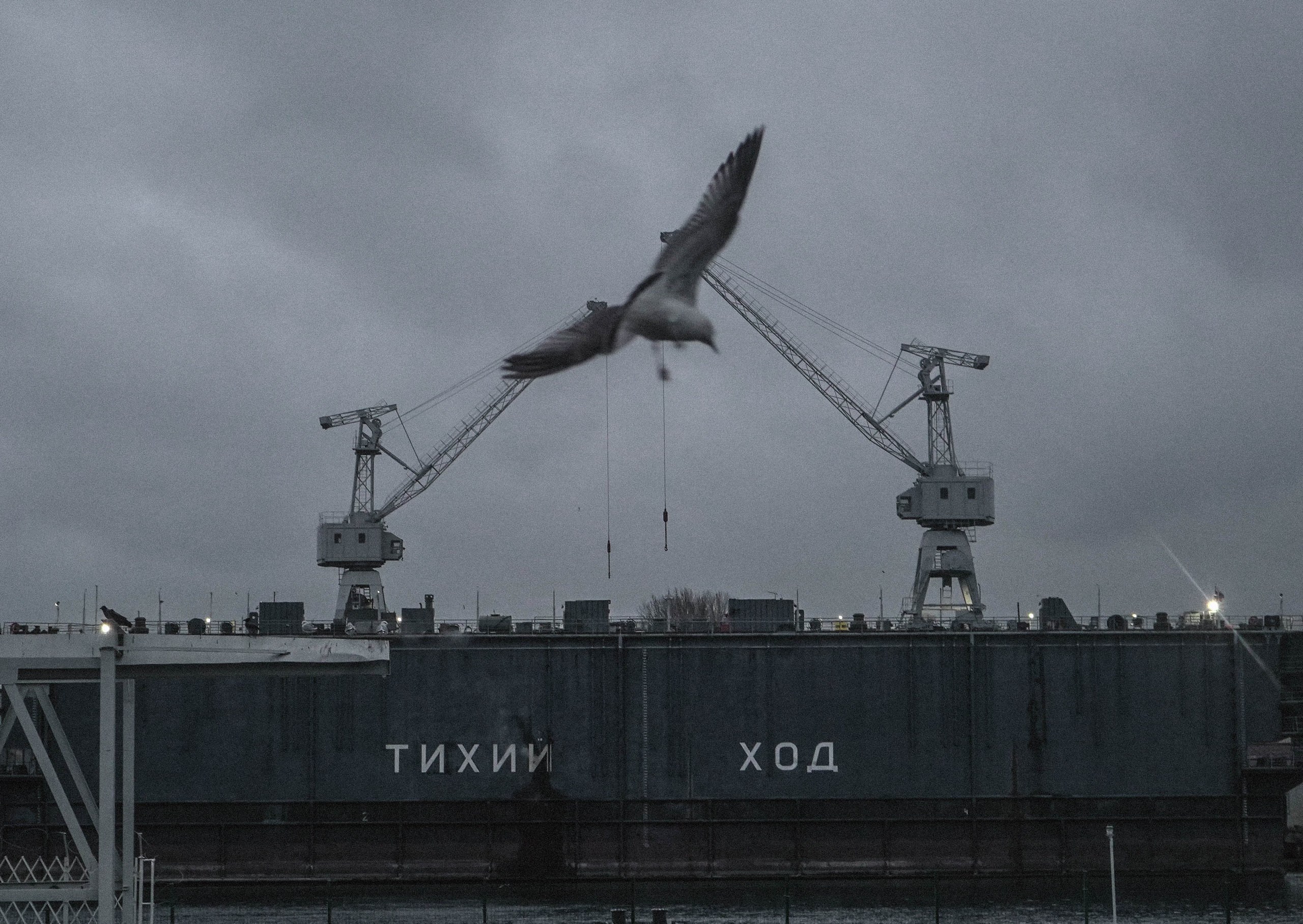 2018. Стрит-фотография, полная абсурда, идиотизма и красоты