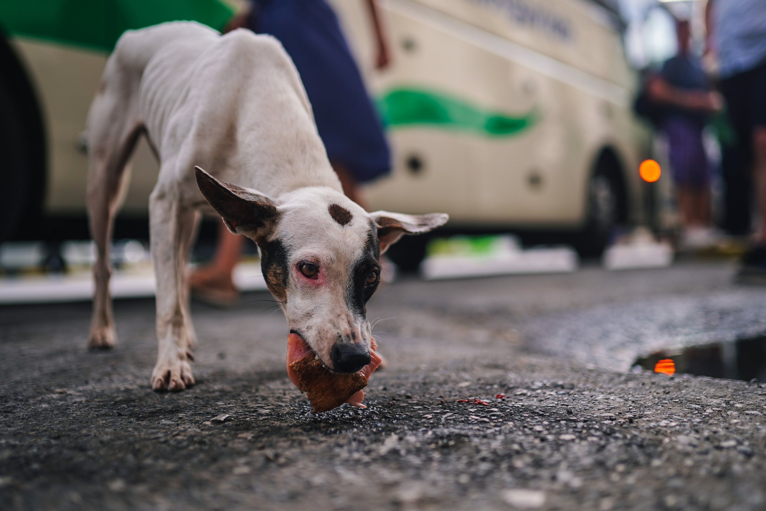 КУБА. Стрит-фотография, полная абсурда, идиотизма и красоты