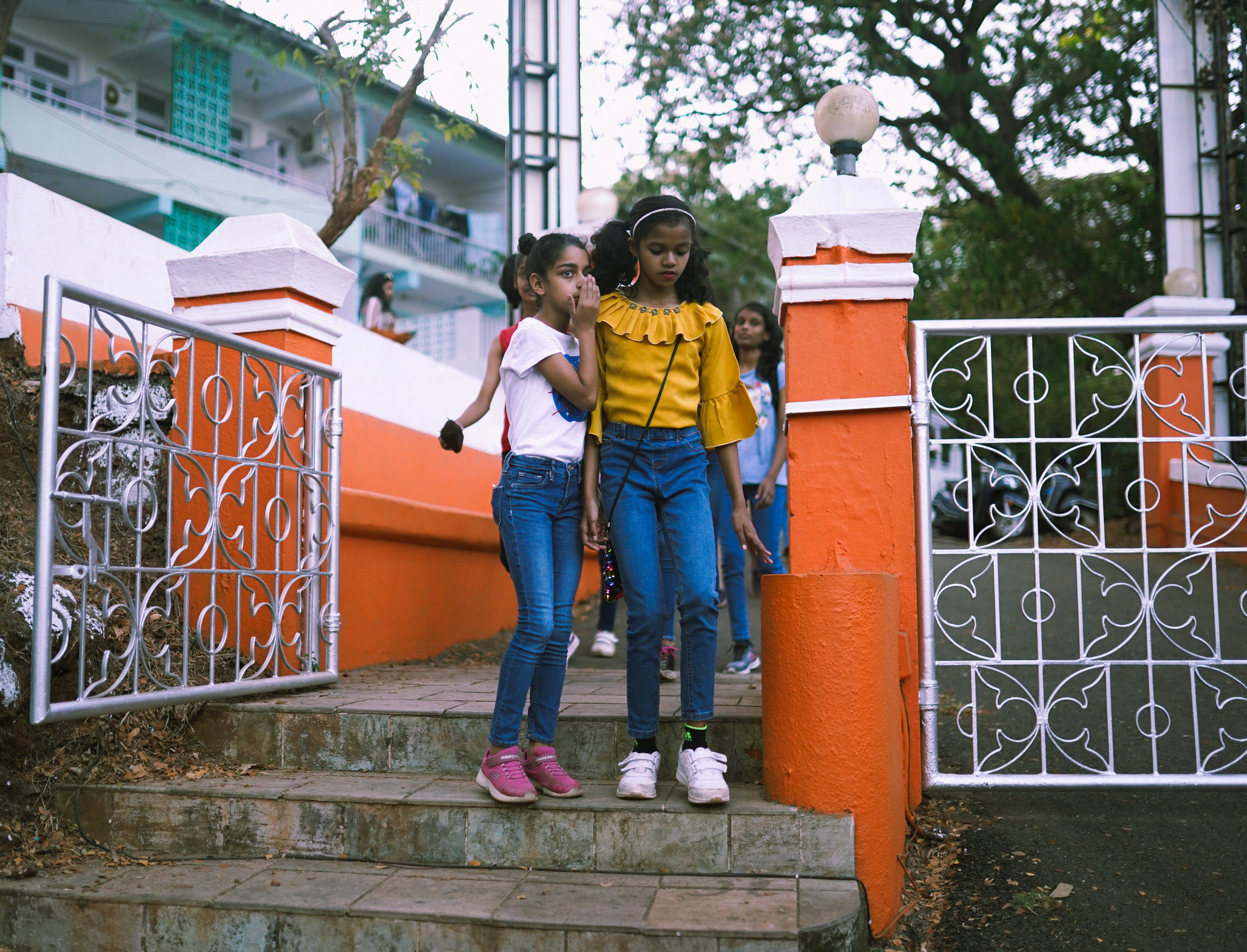 ИНДИЯ 2020. Стрит-фотография, полная абсурда, идиотизма и красоты